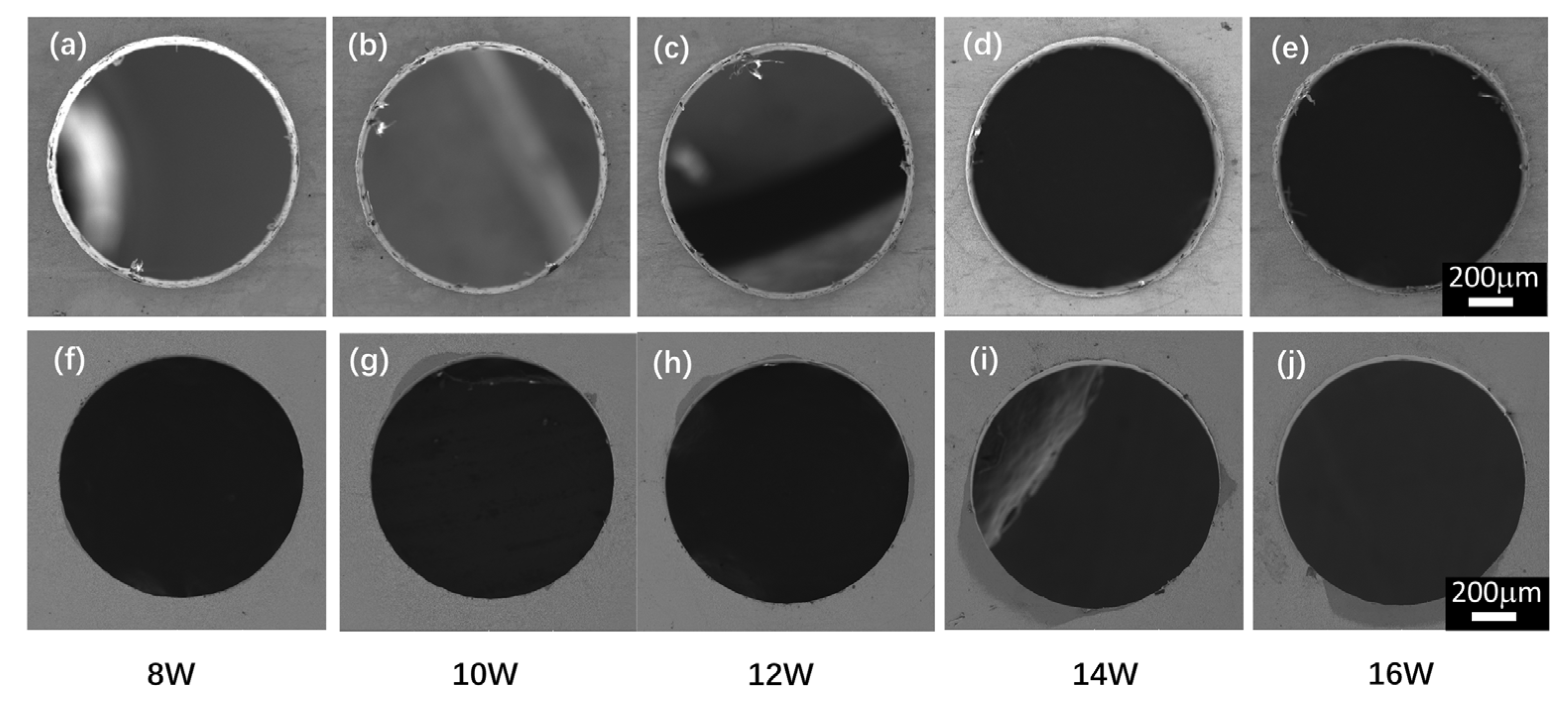 Coatings 14 00137 g006