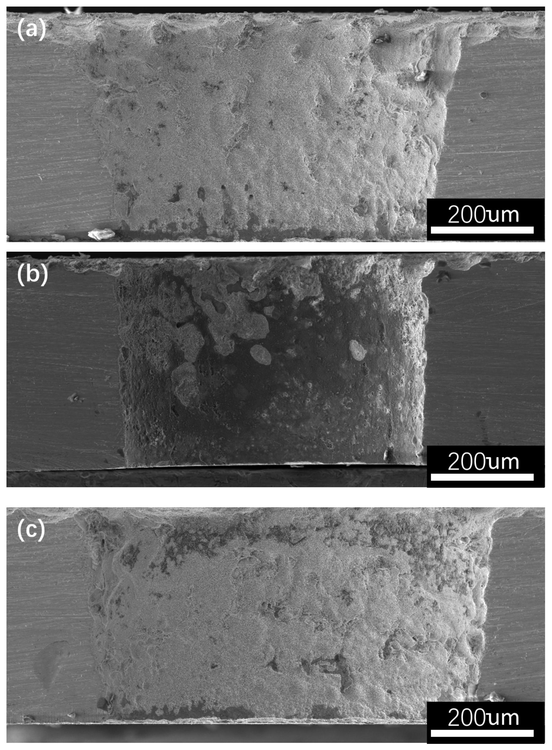 Coatings 14 00137 g011
