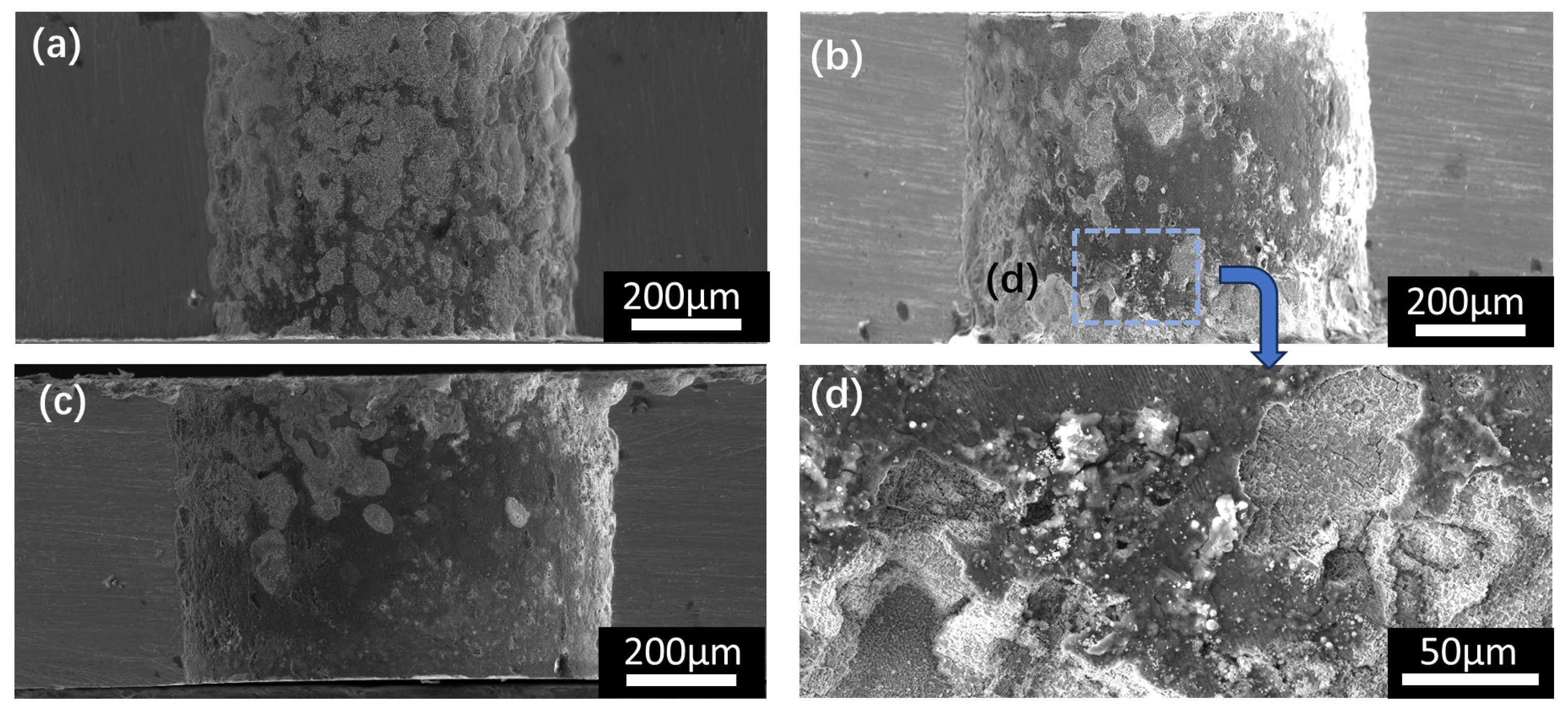 Coatings 14 00137 g014