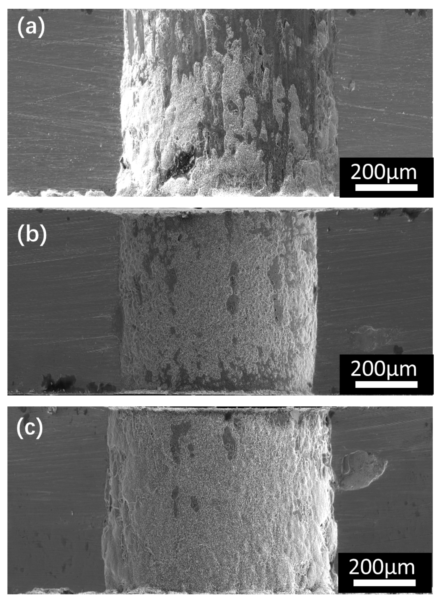 Coatings 14 00137 g017