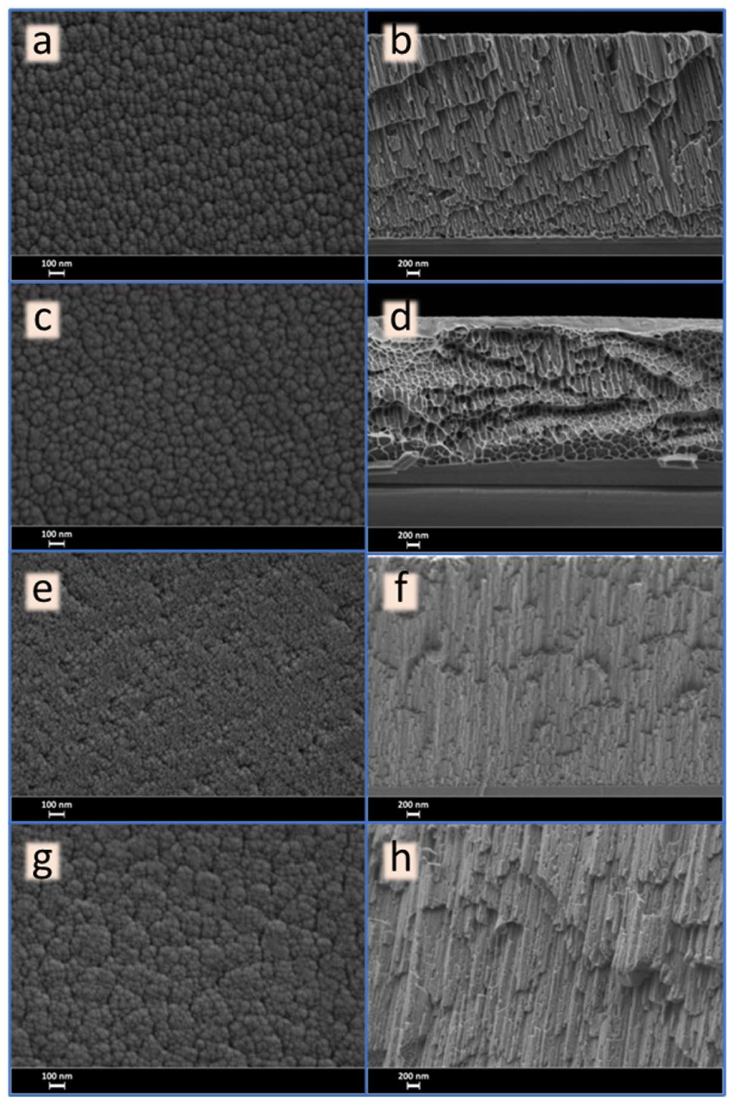 Coatings 14 00138 g001