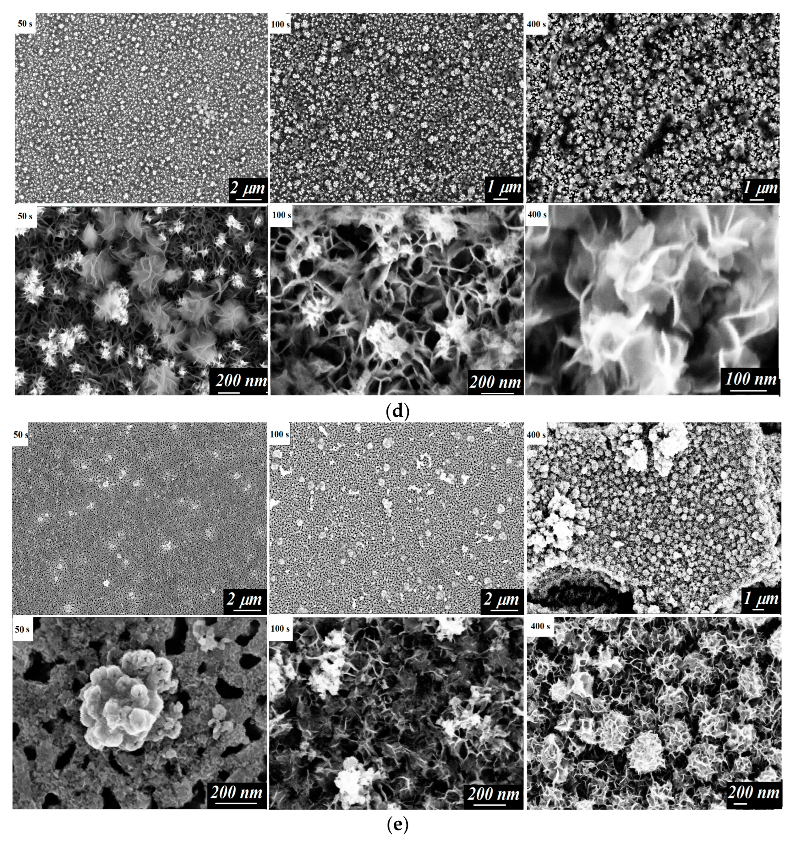Coatings 14 00141 g002b