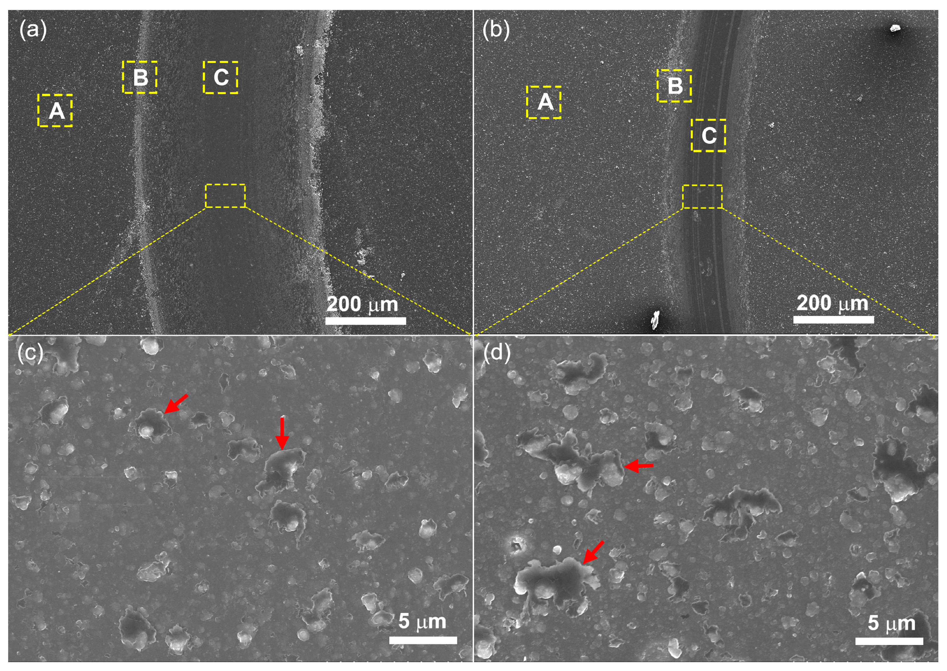 Coatings 14 00142 g009