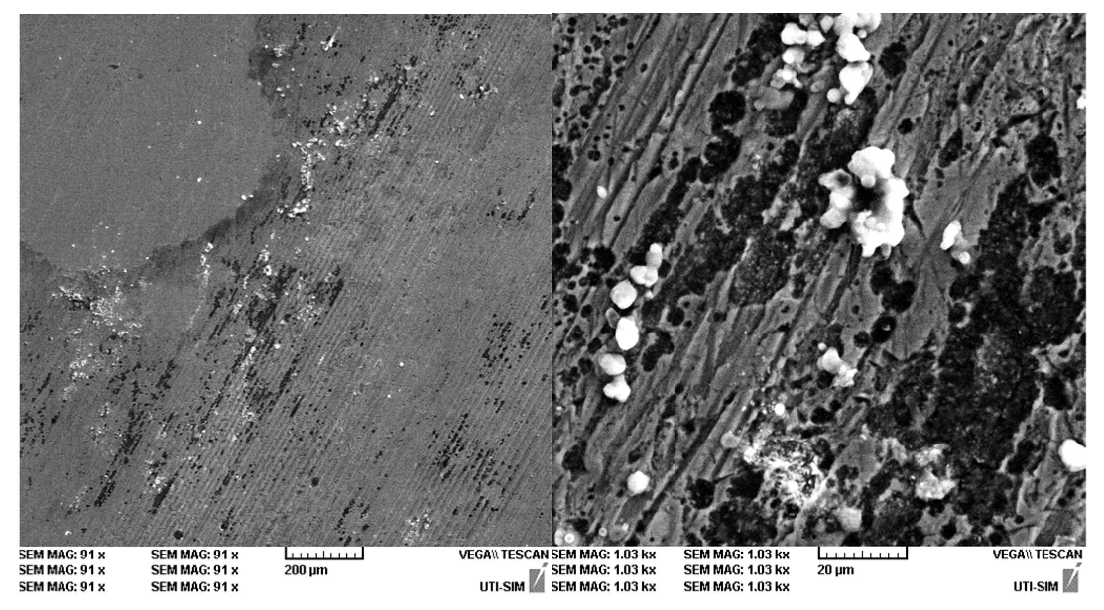 Coatings 14 00145 g013