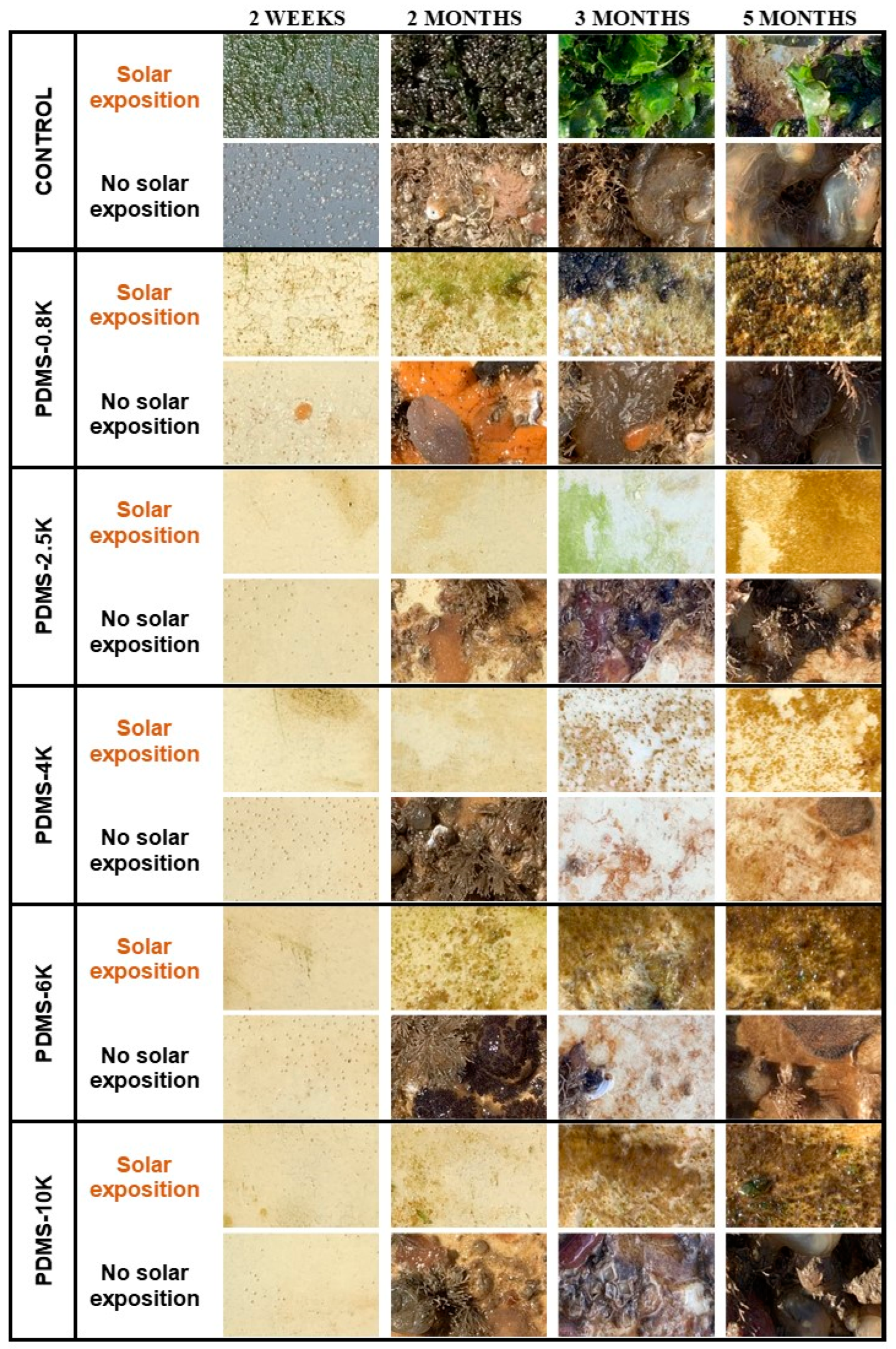 Coatings 14 00149 g007