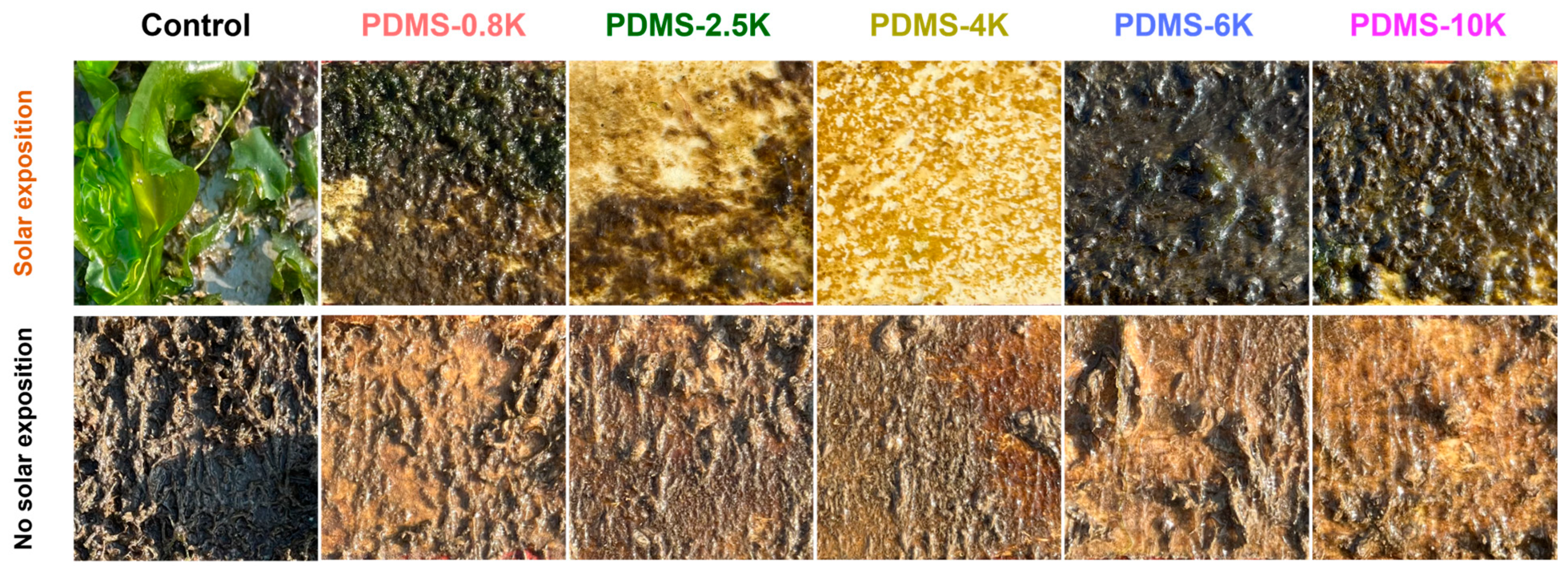 Coatings 14 00149 g008