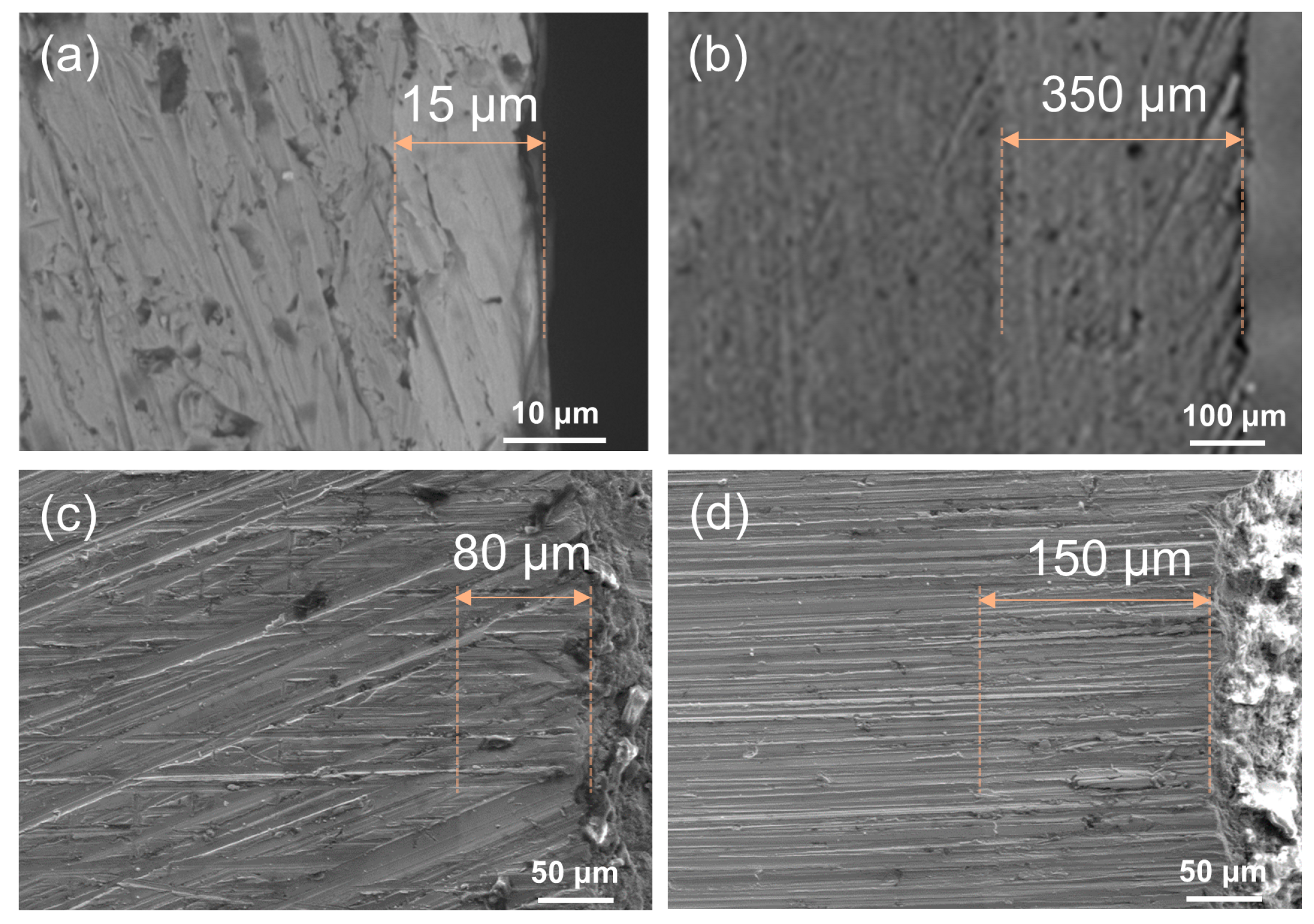 Coatings 14 00150 g004