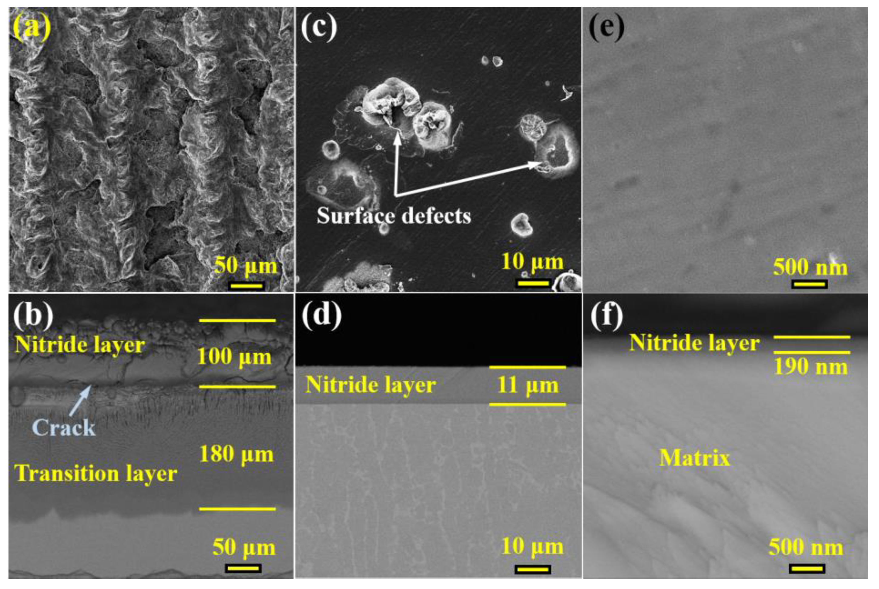 Coatings 14 00156 g002