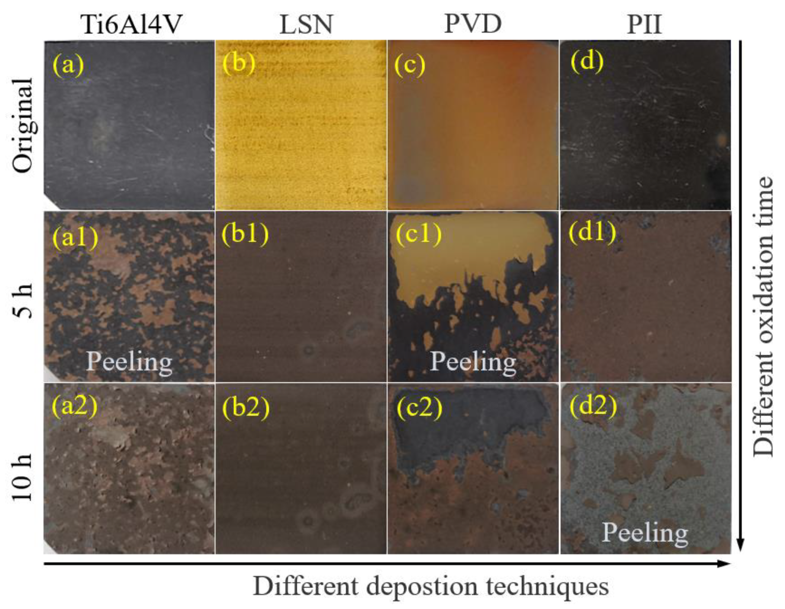 Coatings 14 00156 g008