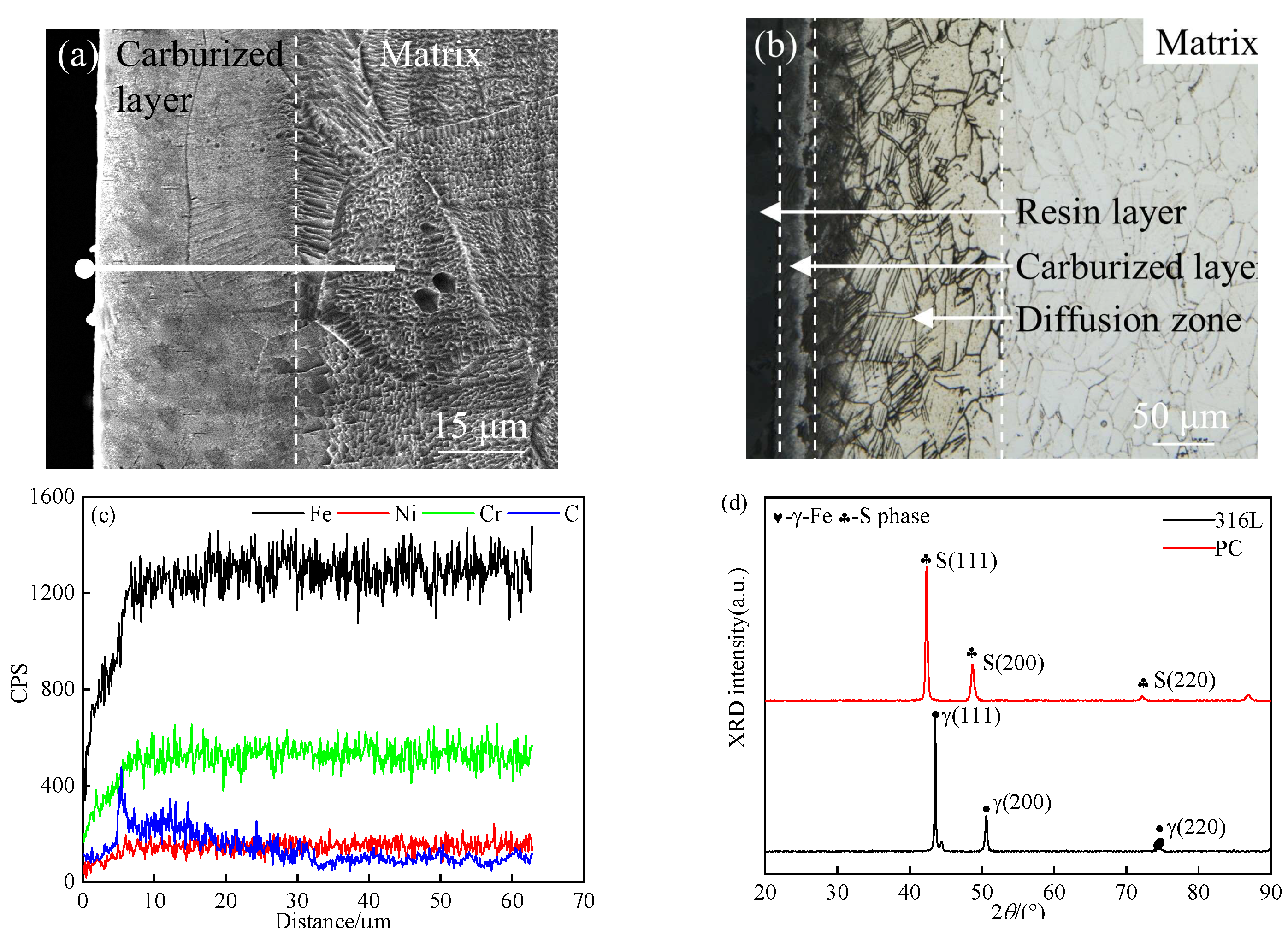 Coatings 14 00158 g001