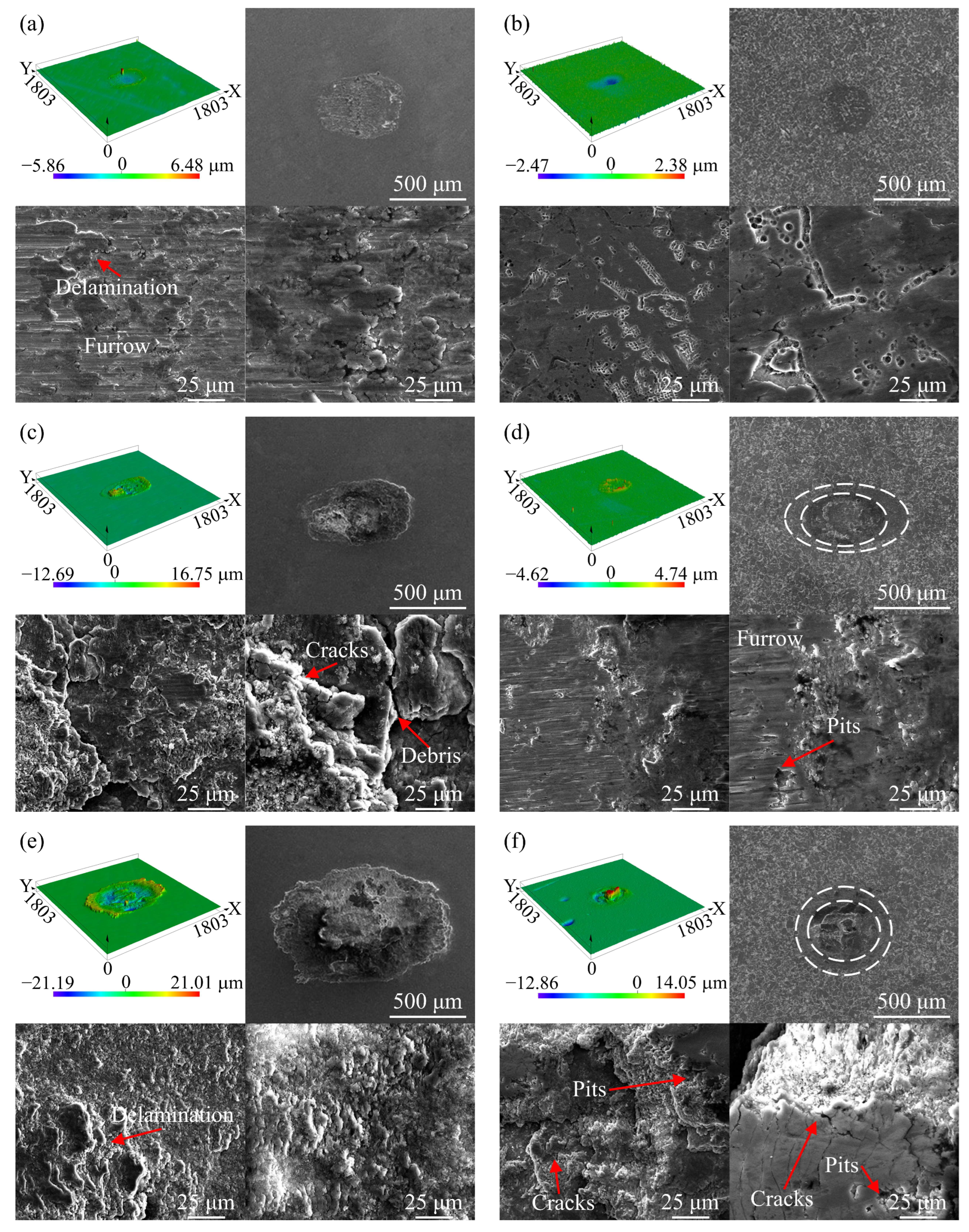 Coatings 14 00158 g004