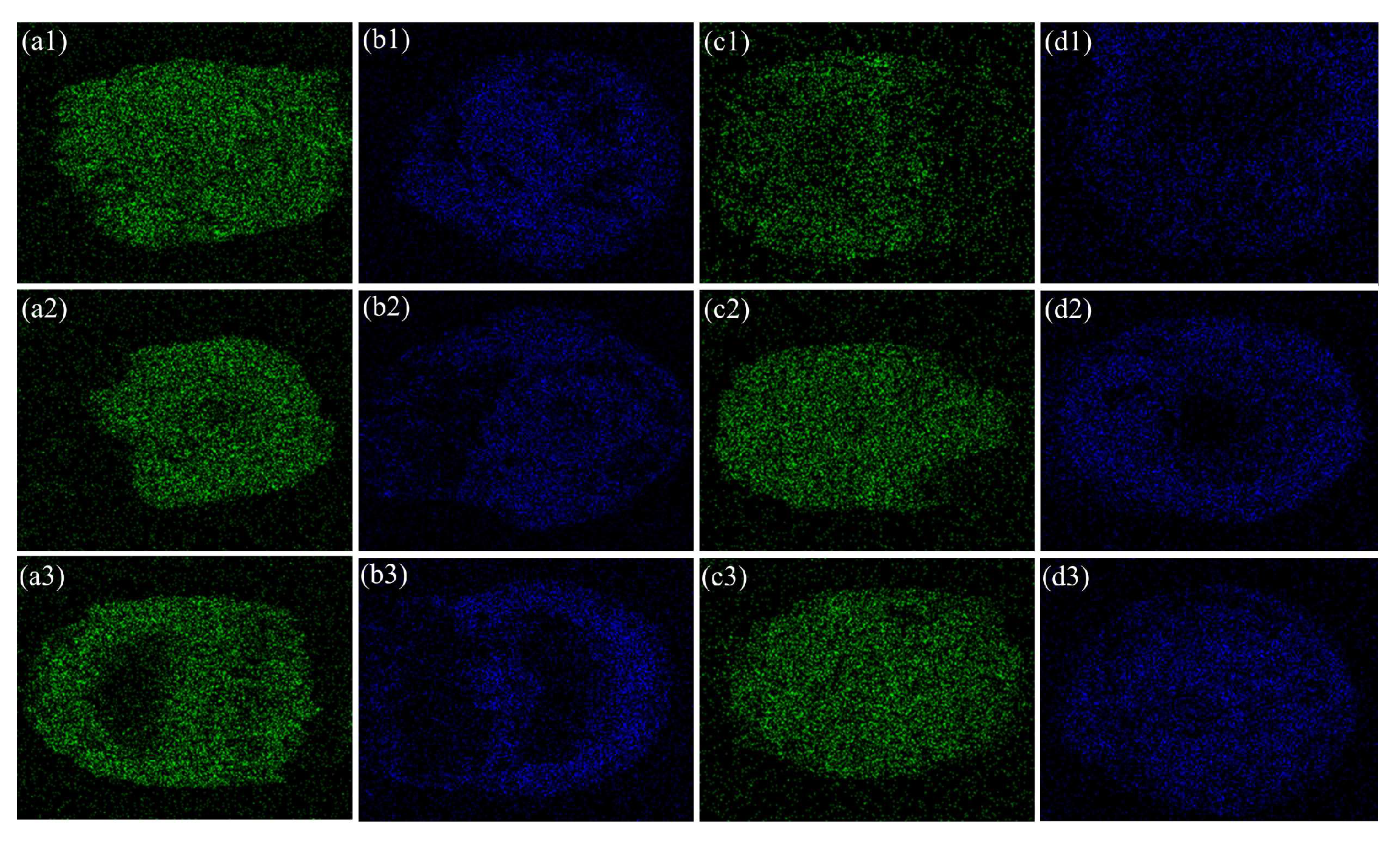 Coatings 14 00158 g005