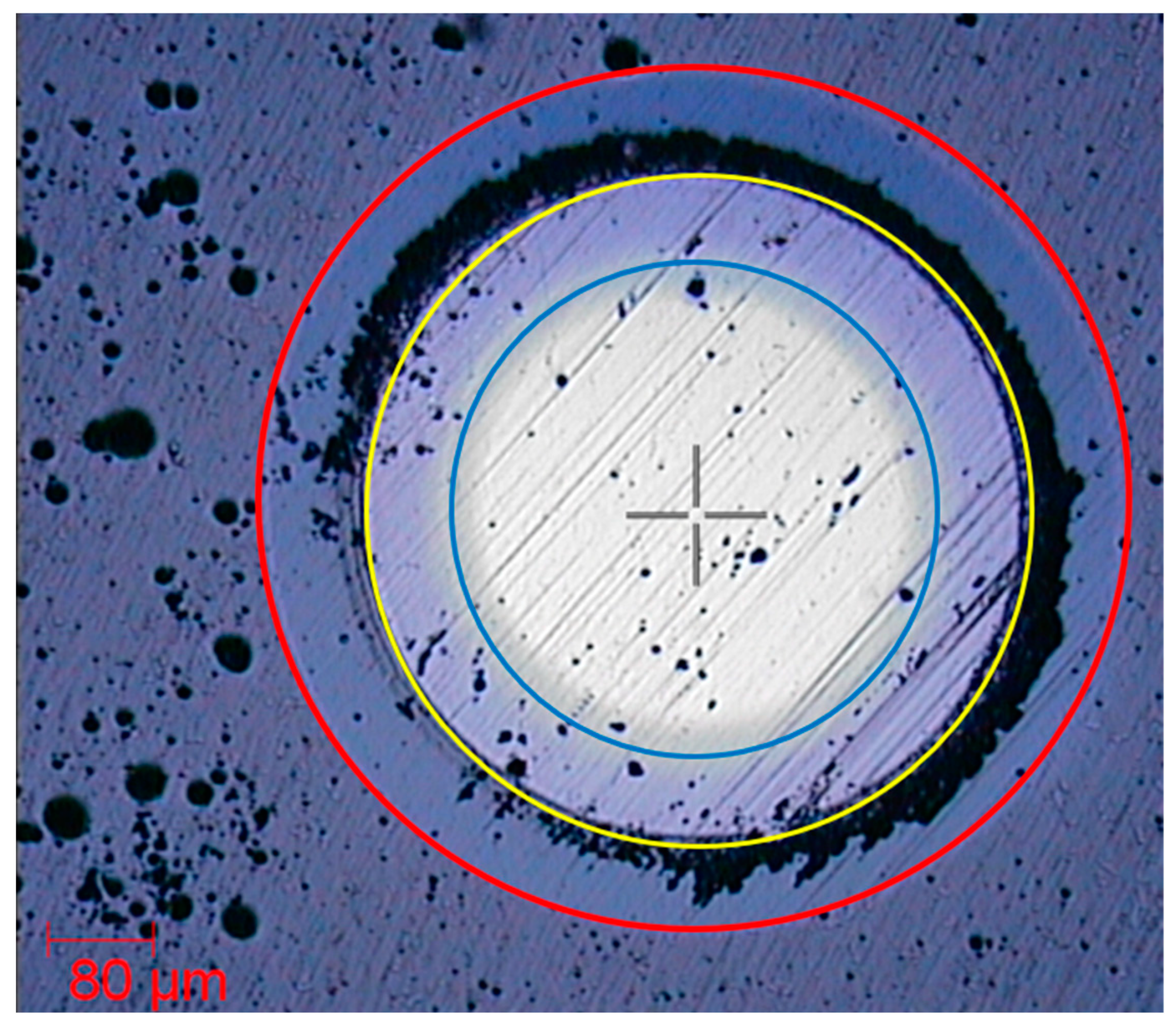 Coatings 14 00159 g005 Coatings 14 00159 g005