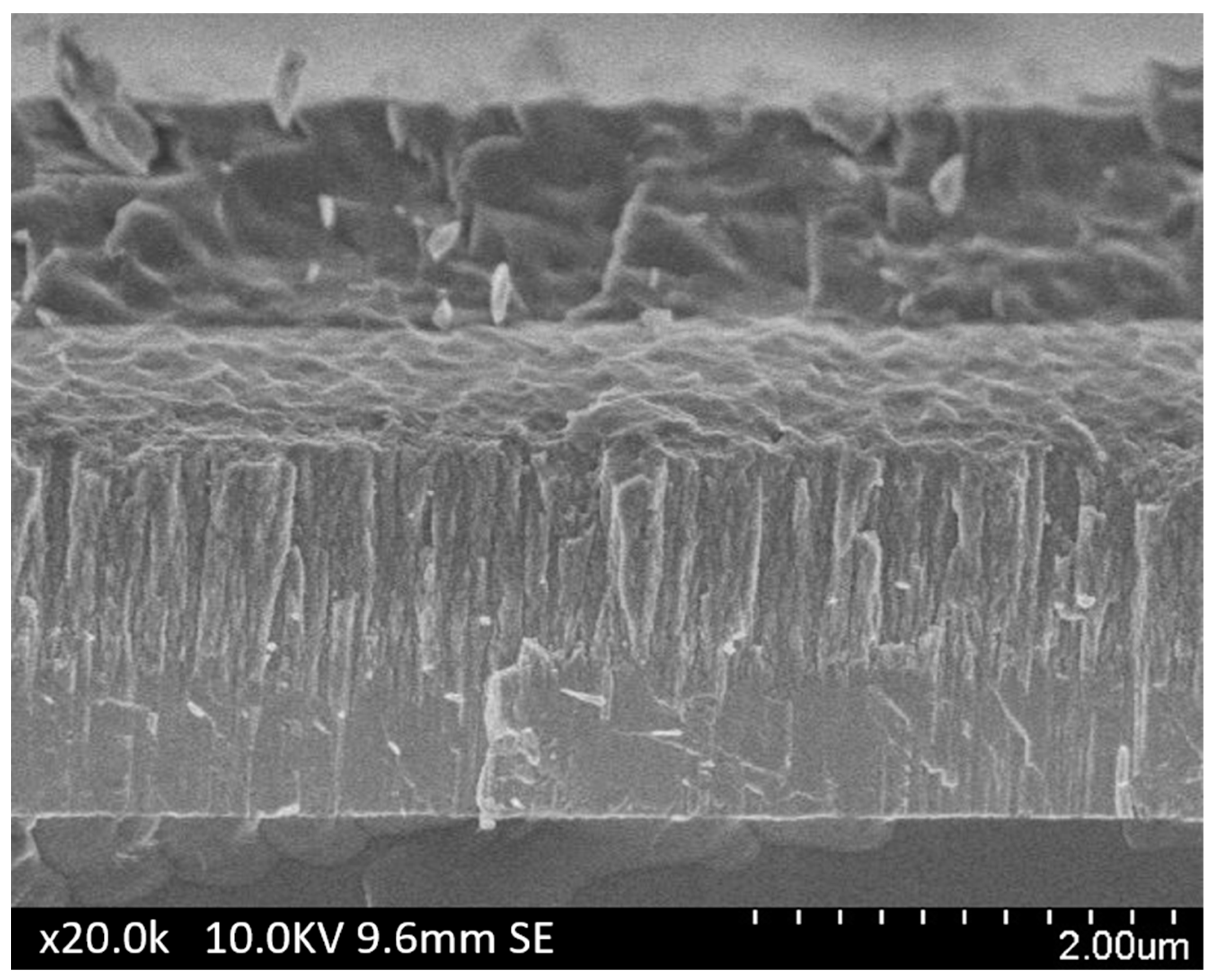 Coatings 14 00159 g006 Coatings 14 00159 g006