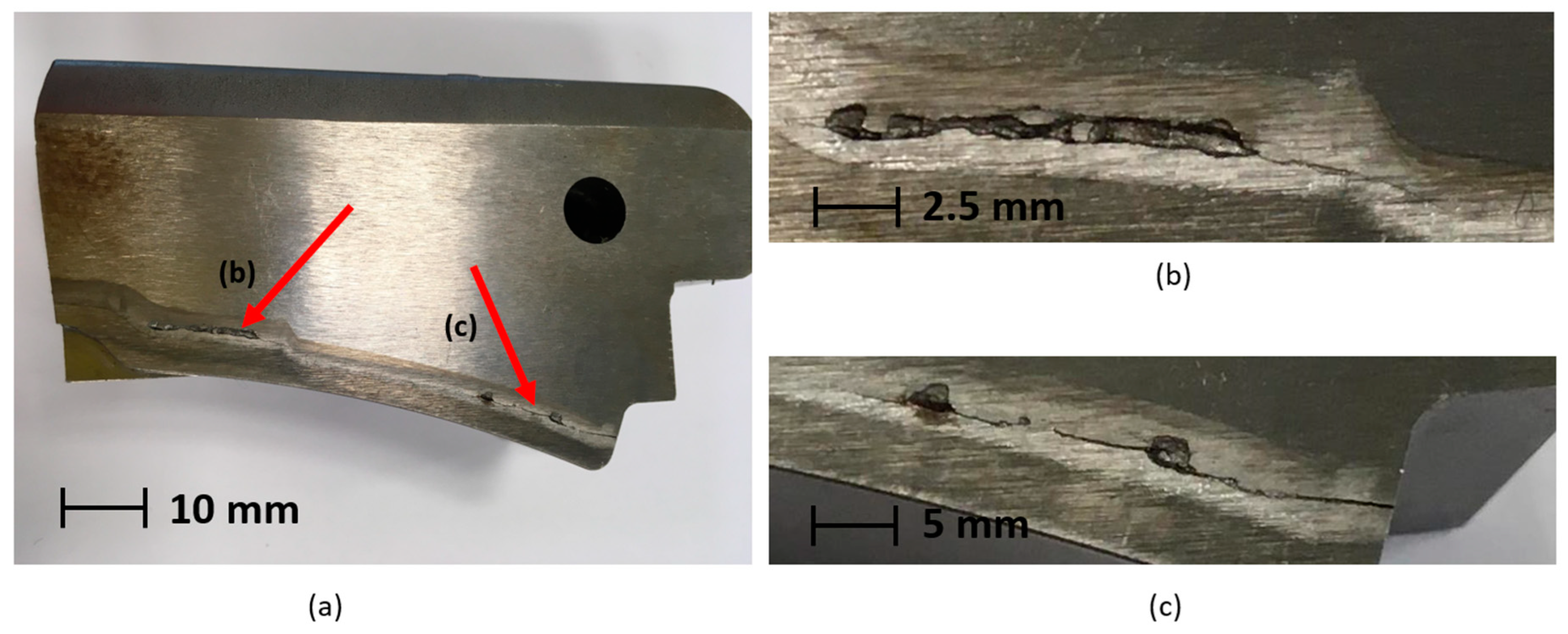 Coatings 14 00159 g017 Coatings 14 00159 g017
