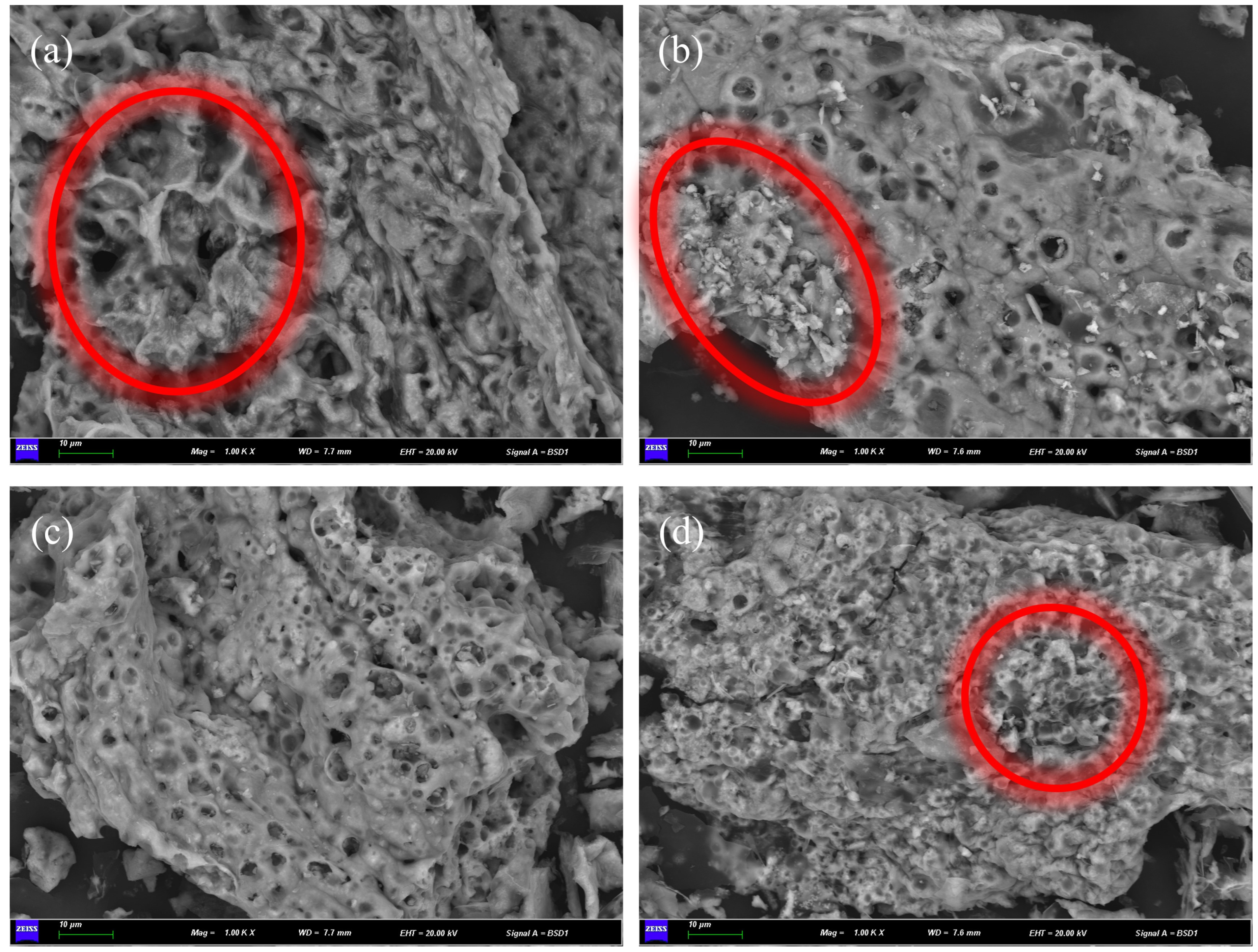 Coatings 14 00162 g009
