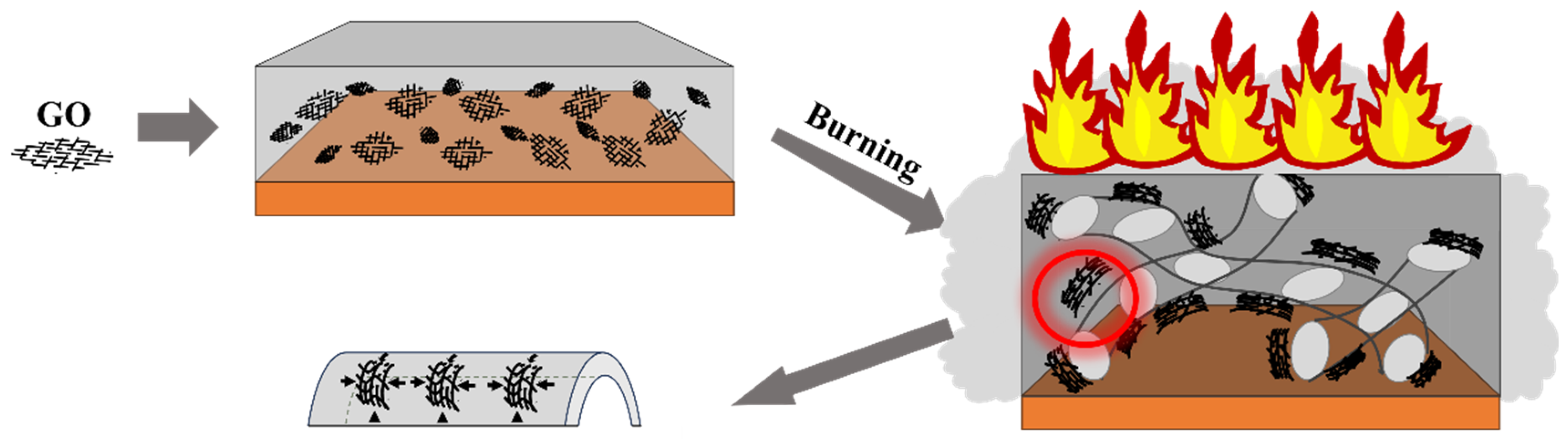 Coatings 14 00162 g010