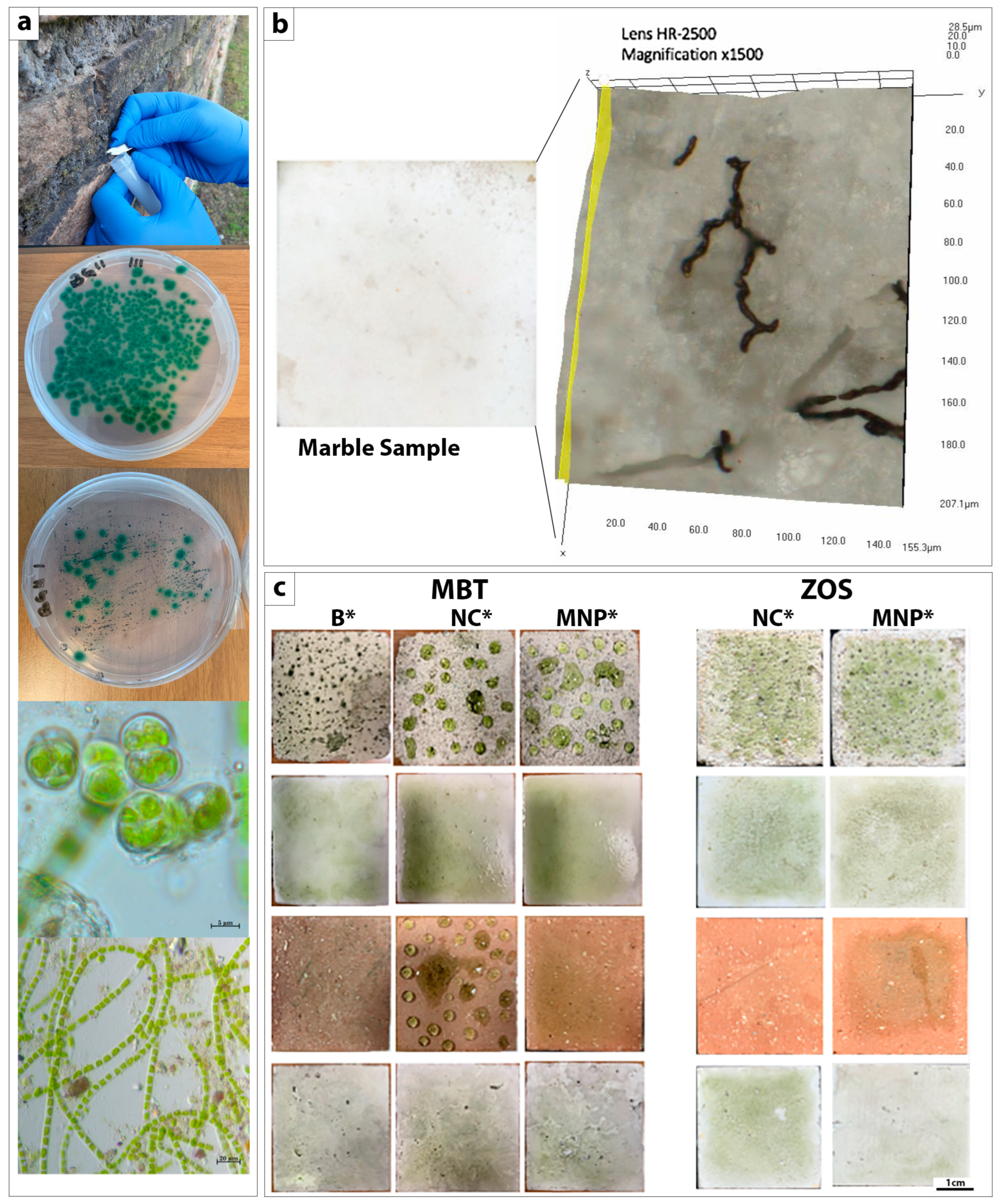 Coatings 14 00163 g005 Coatings 14 00163 g005