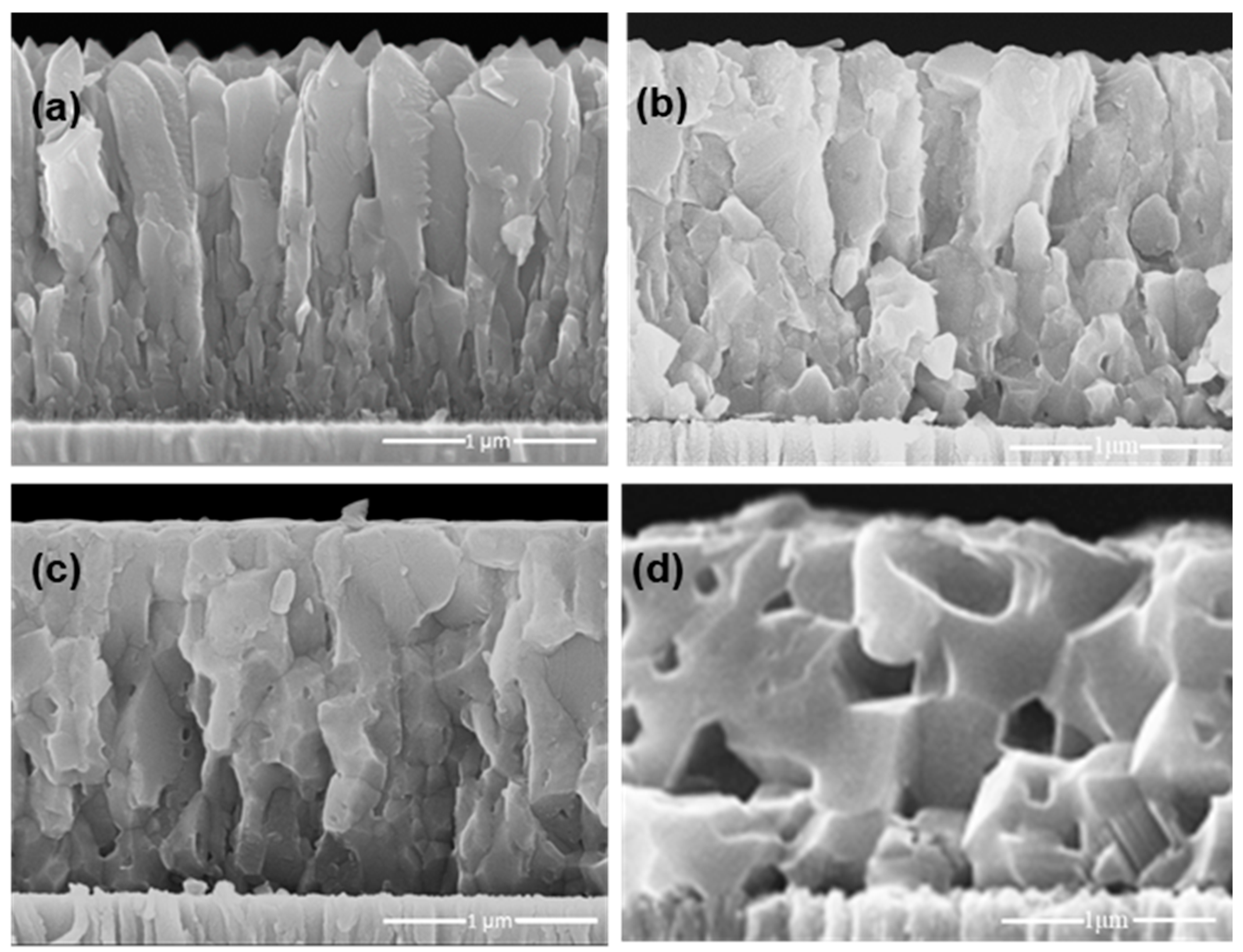 Coatings 14 00164 g002