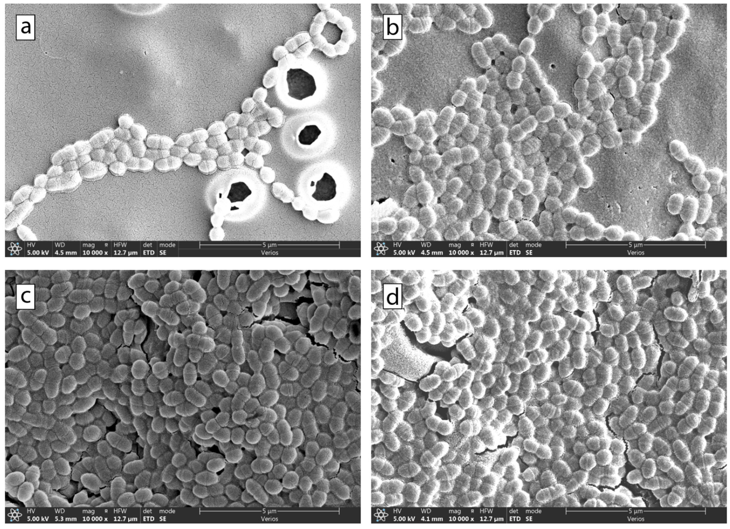Coatings 14 00165 g007