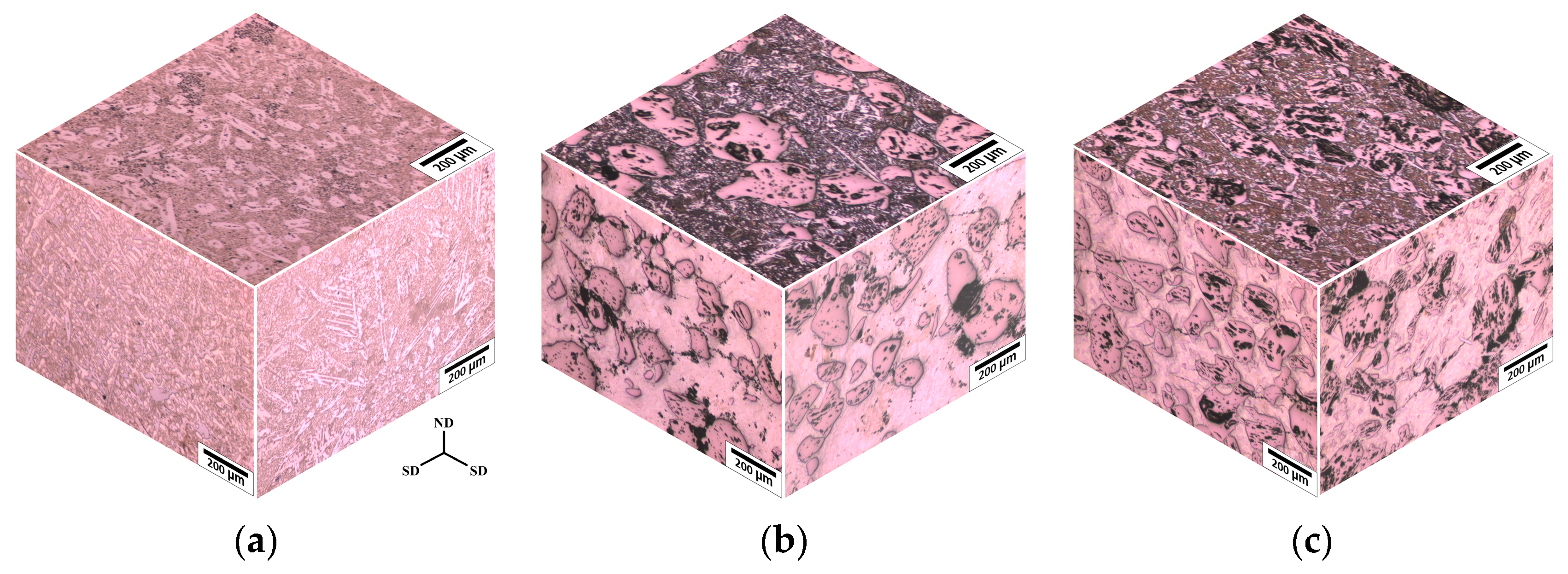 Coatings 14 00167 g003 Coatings 14 00167 g003