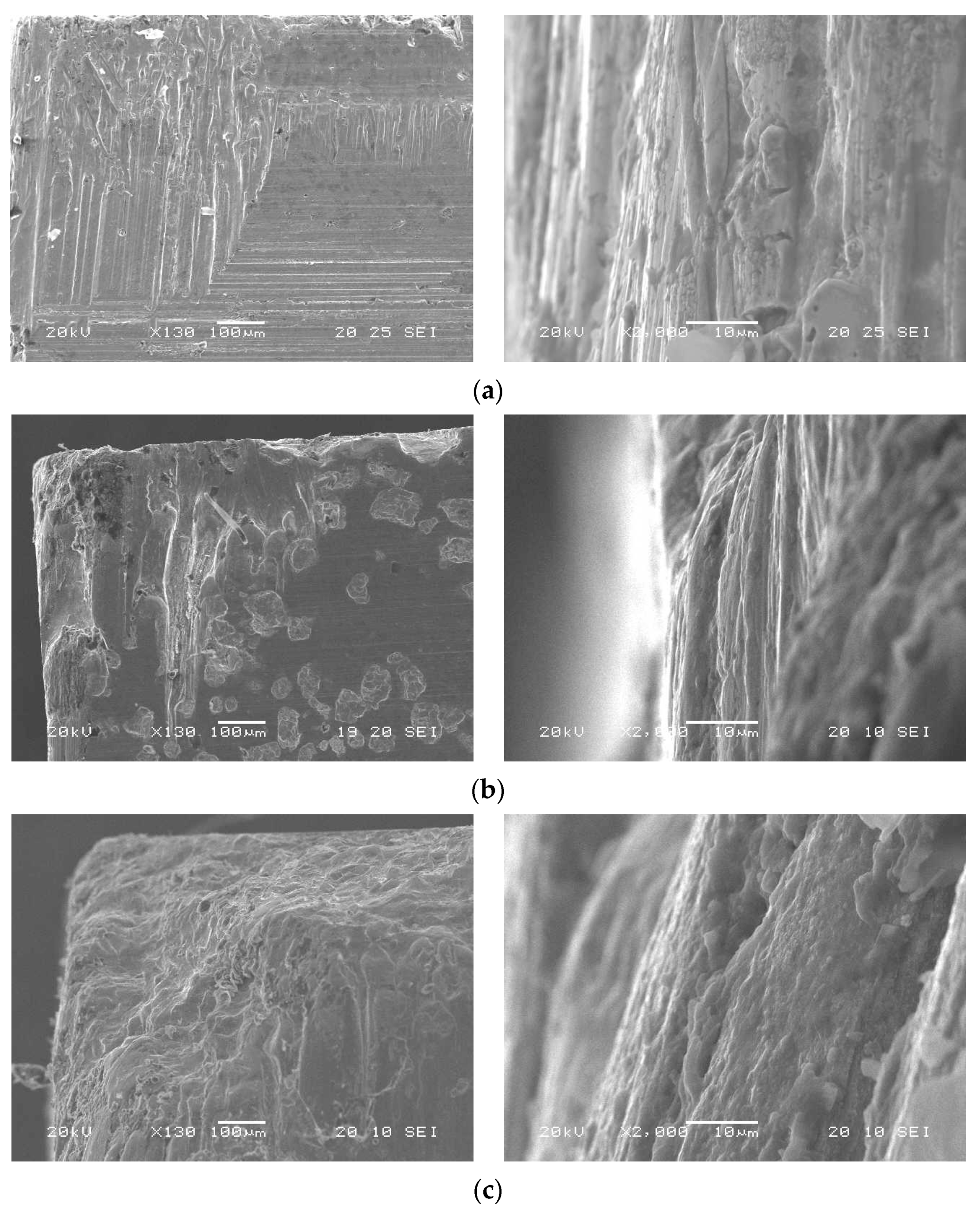 Coatings 14 00167 g011 Coatings 14 00167 g011