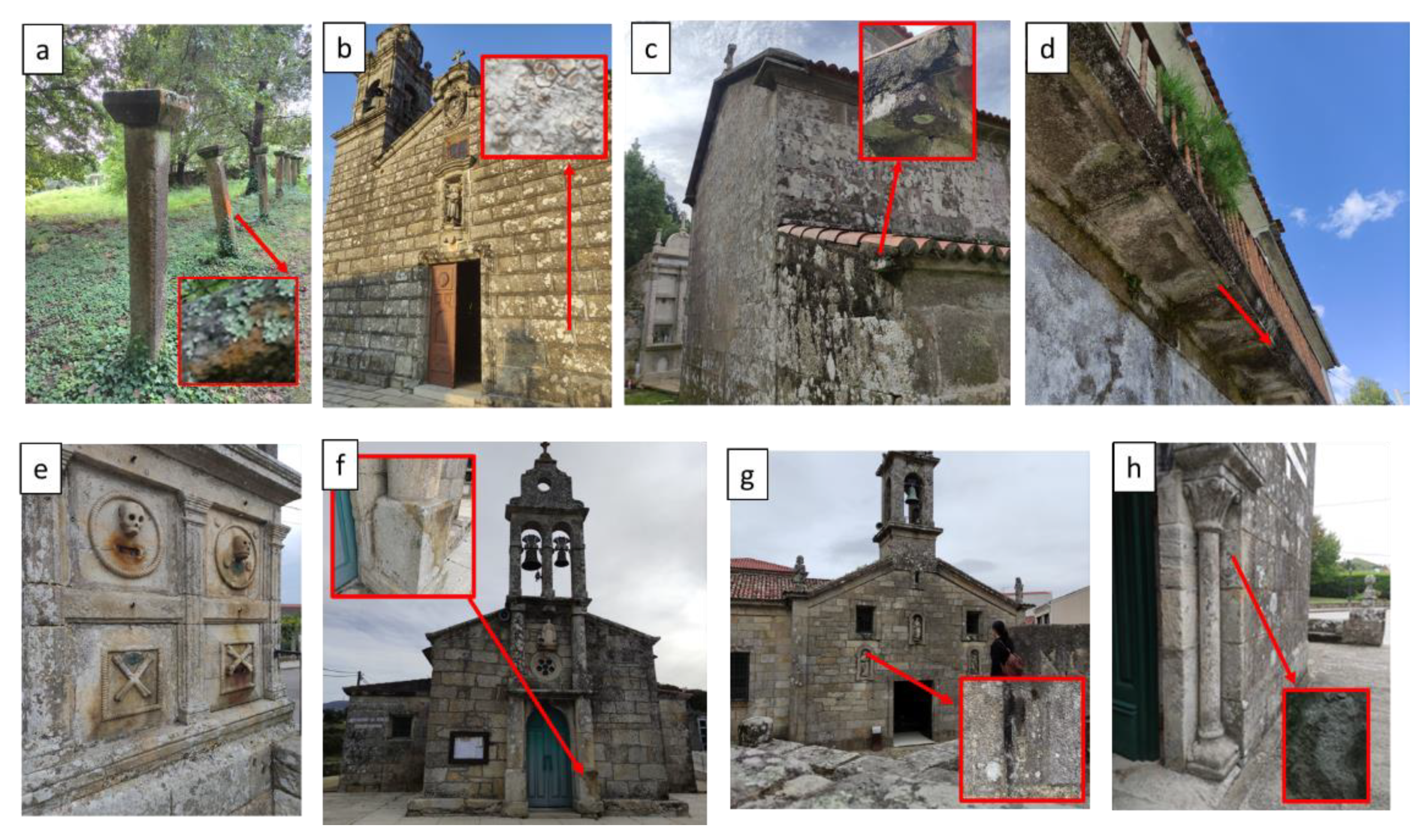 Coatings 14 00169 g003