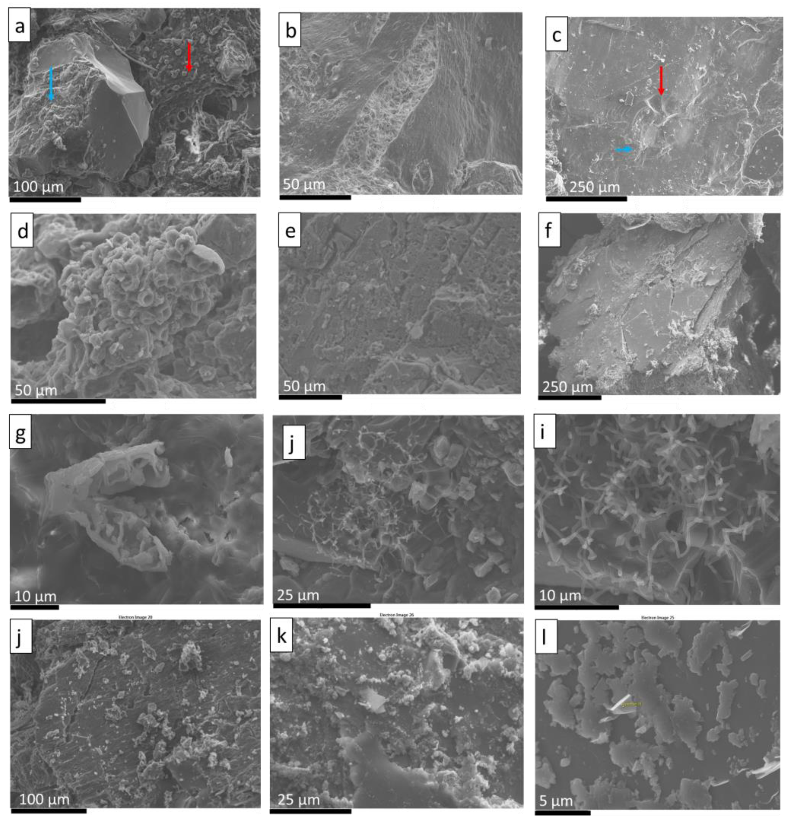 Coatings 14 00169 g009
