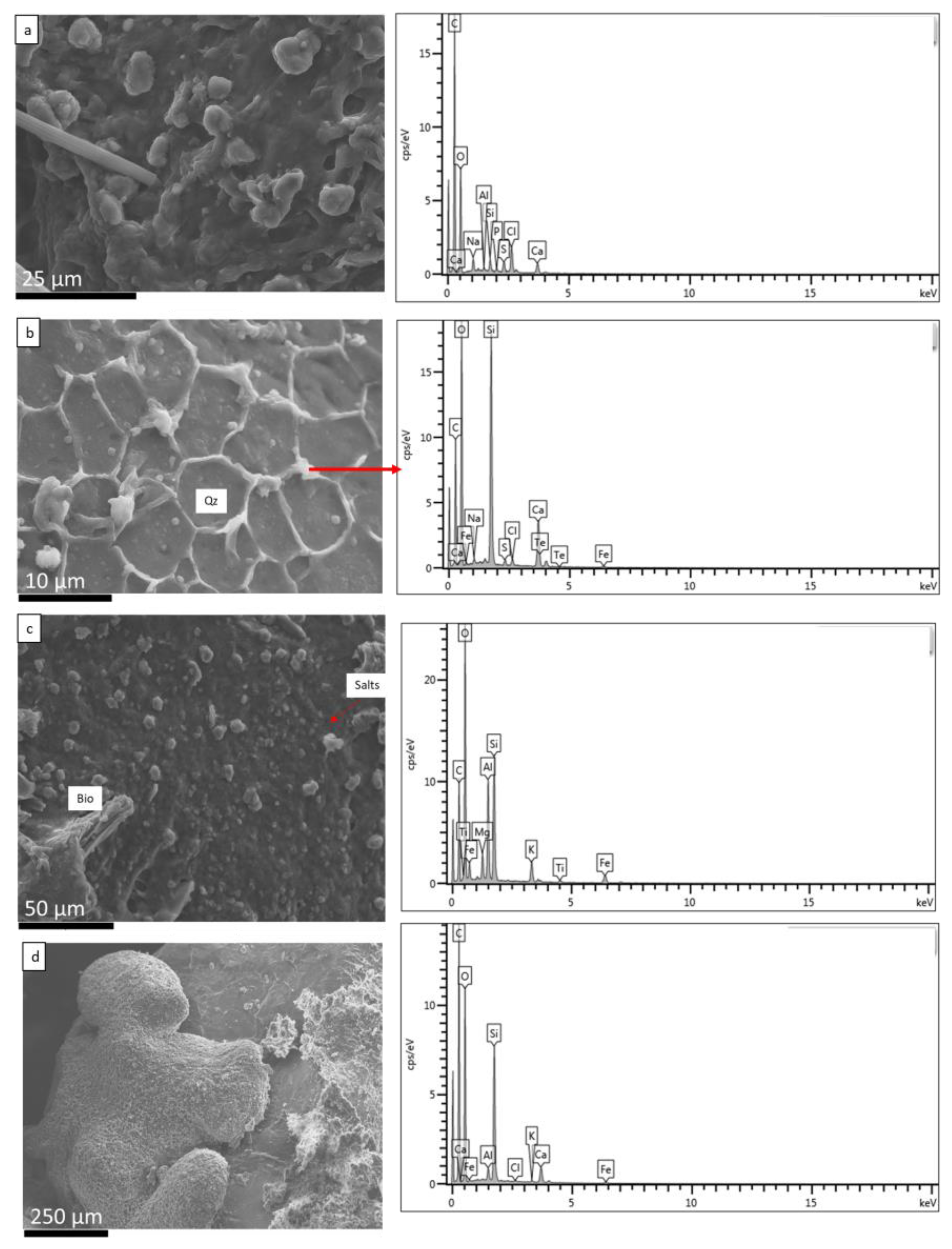 Coatings 14 00169 g010