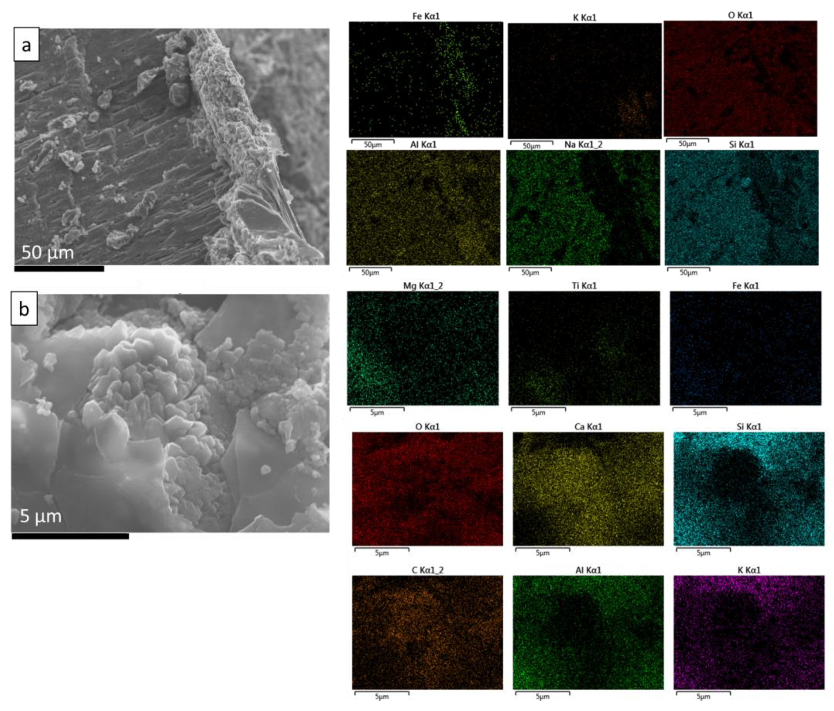 Coatings 14 00169 g011