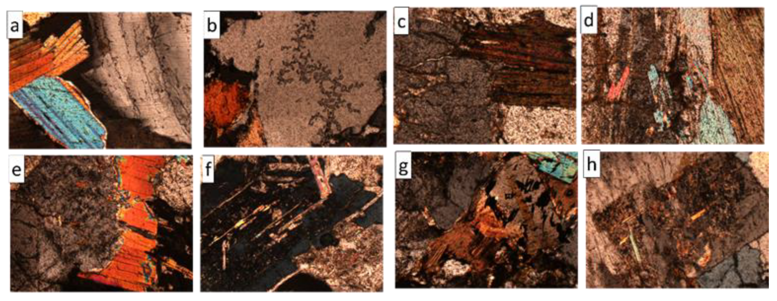 Coatings 14 00169 g012