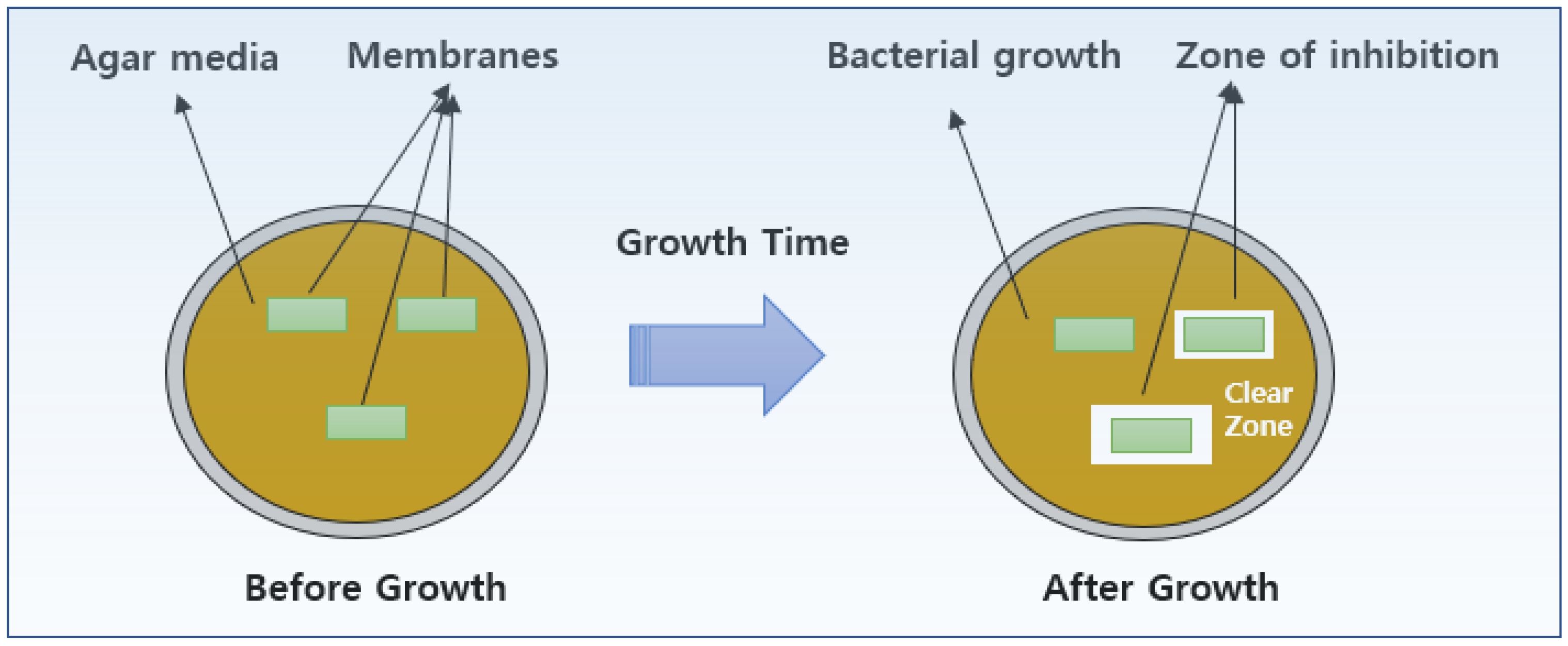 Coatings 14 00180 g002