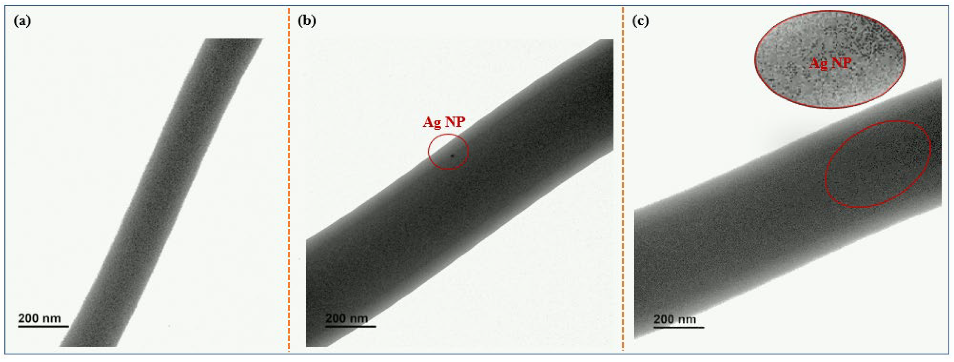 Coatings 14 00180 g003