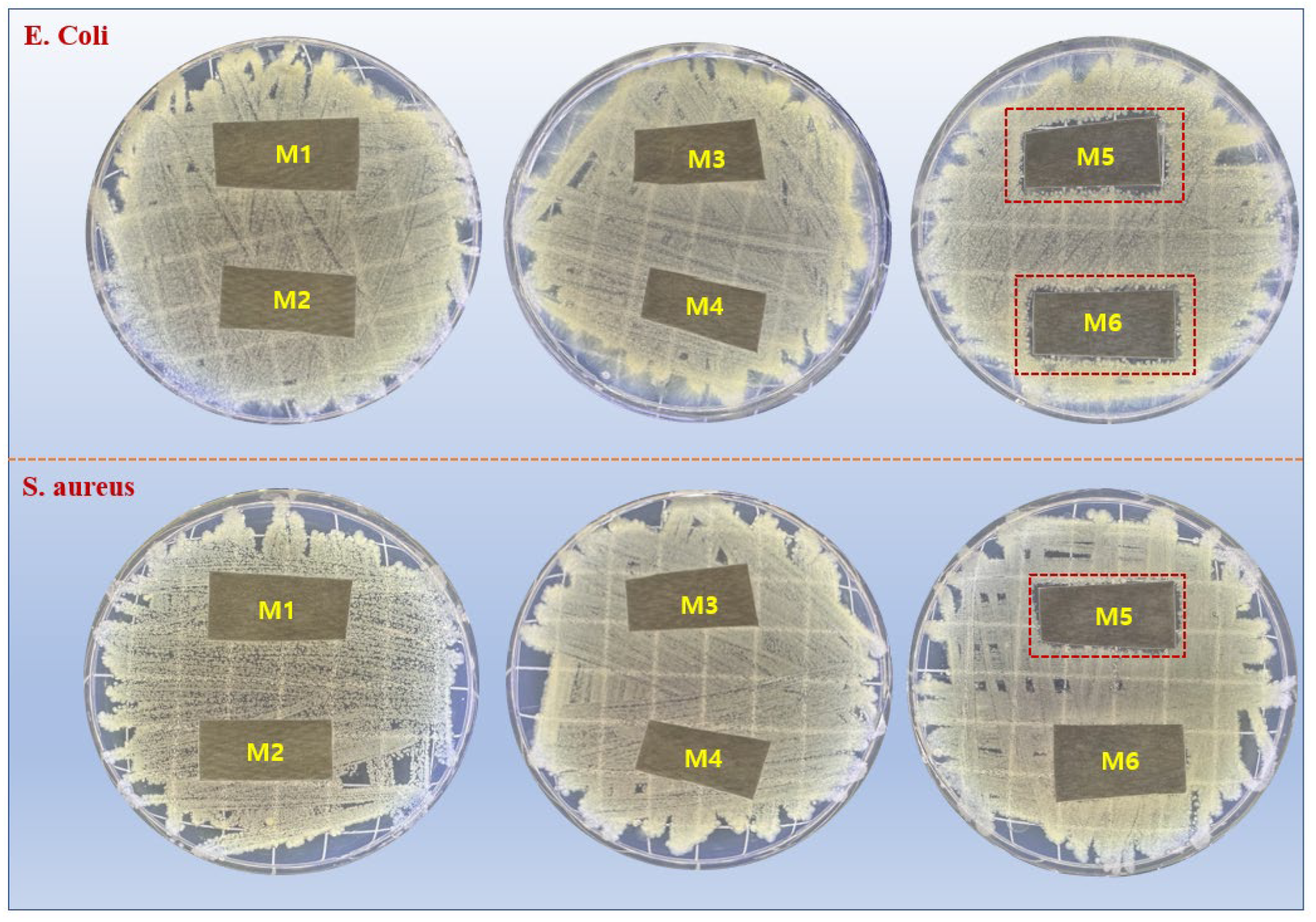 Coatings 14 00180 g008