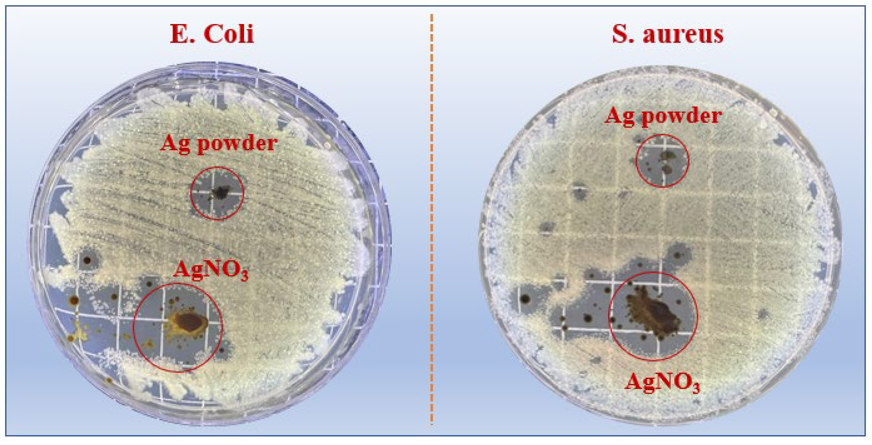 Coatings 14 00180 g010