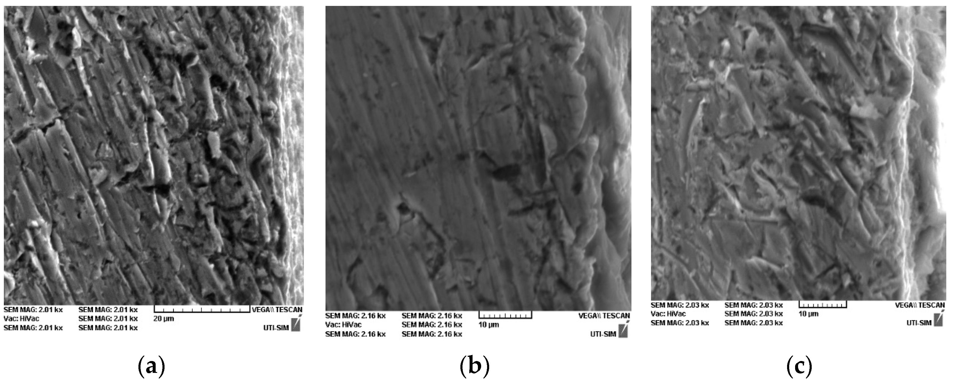 Coatings 14 00182 g003