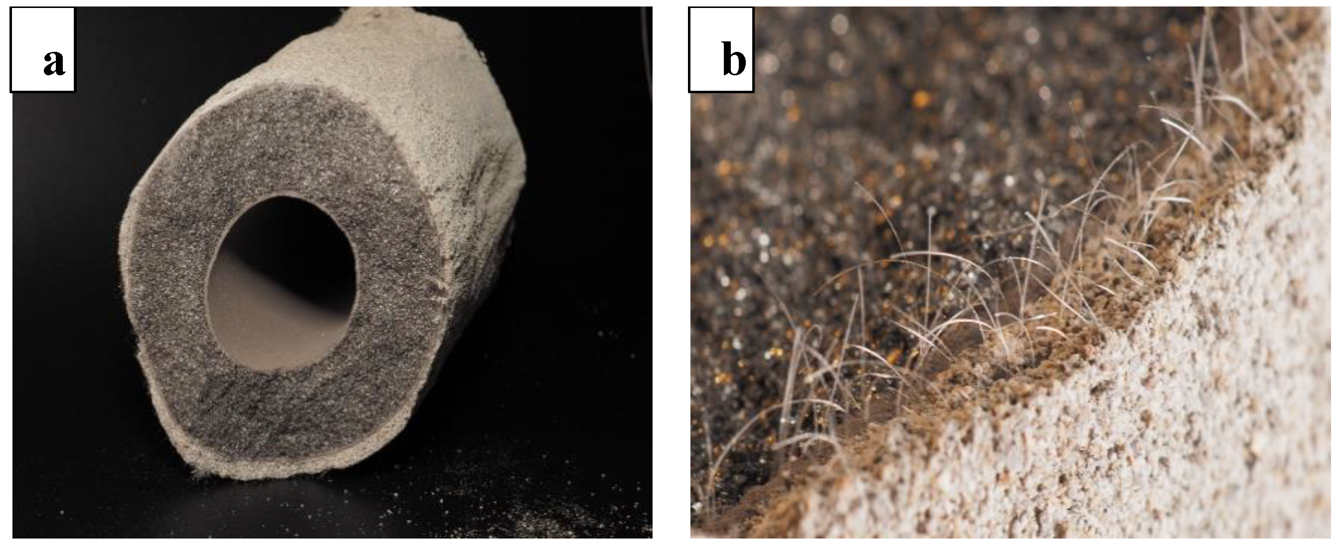 Coatings 14 00183 g002