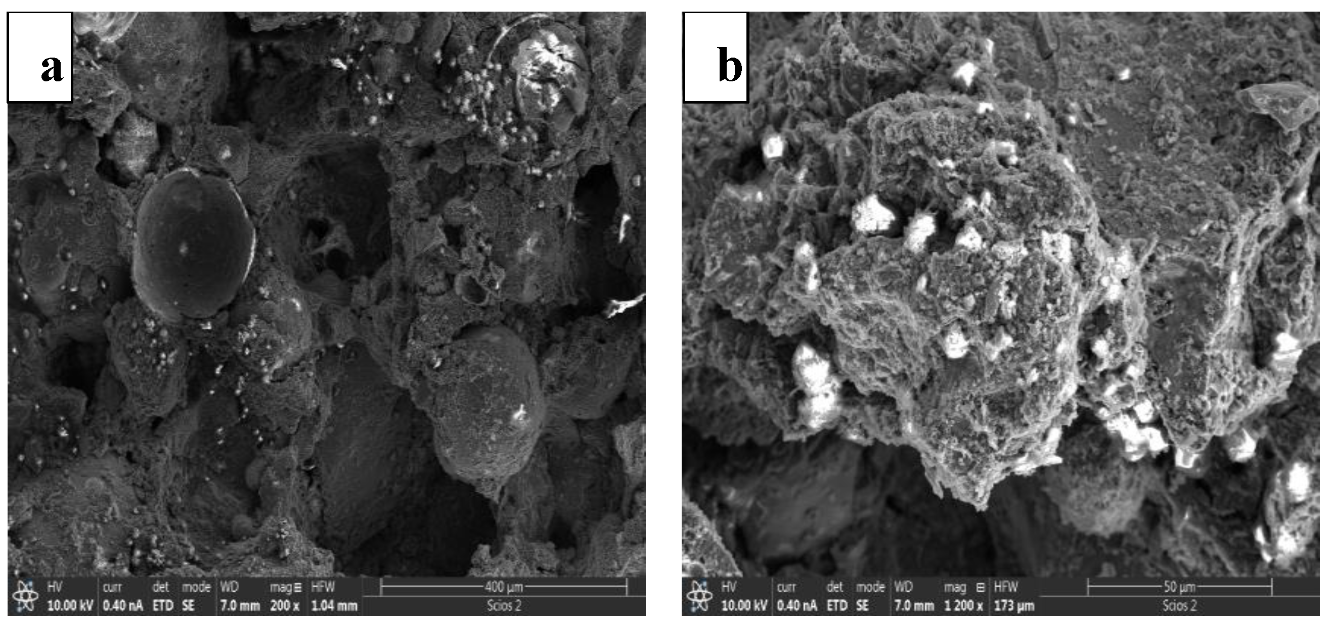 Coatings 14 00183 g003