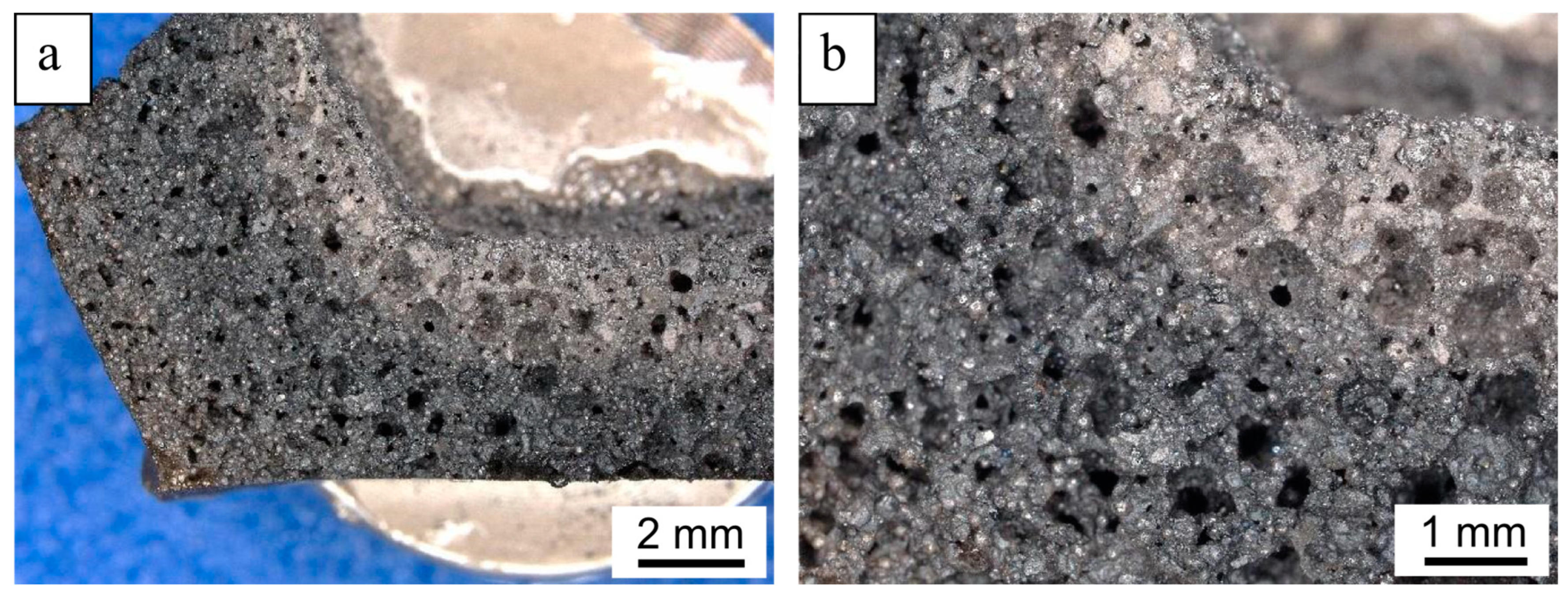 Coatings 14 00183 g004