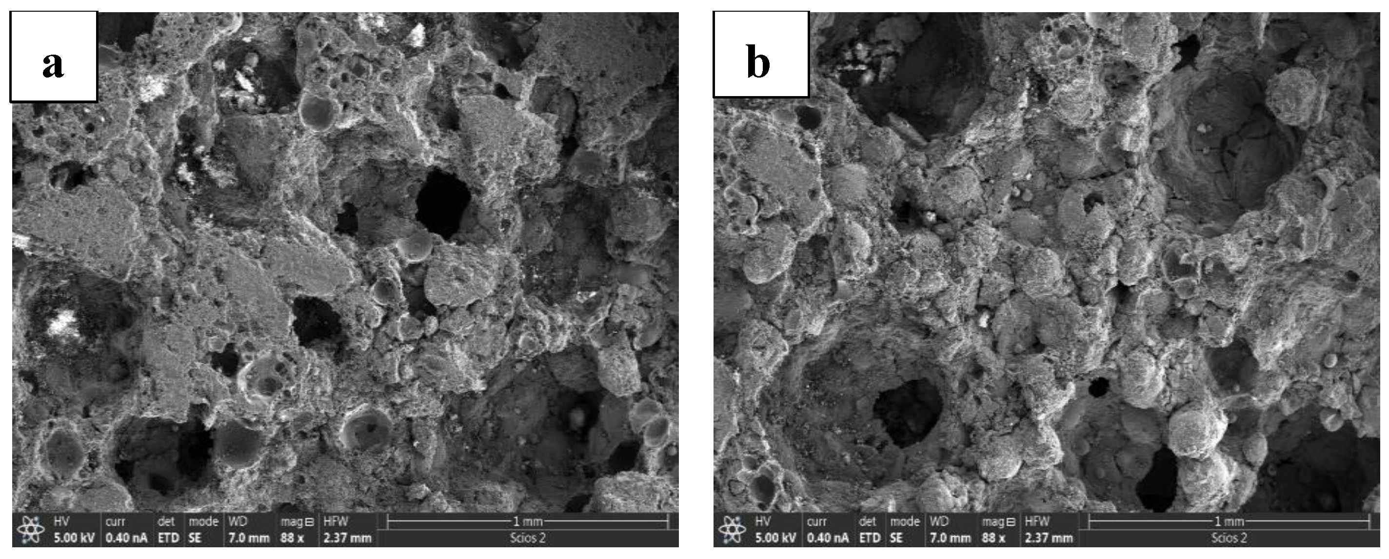 Coatings 14 00183 g005