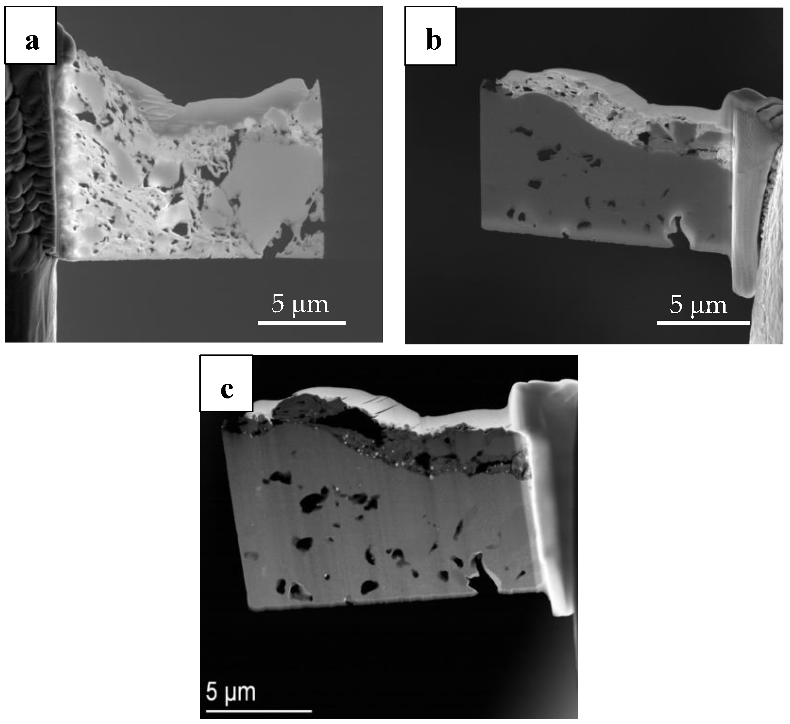 Coatings 14 00183 g006