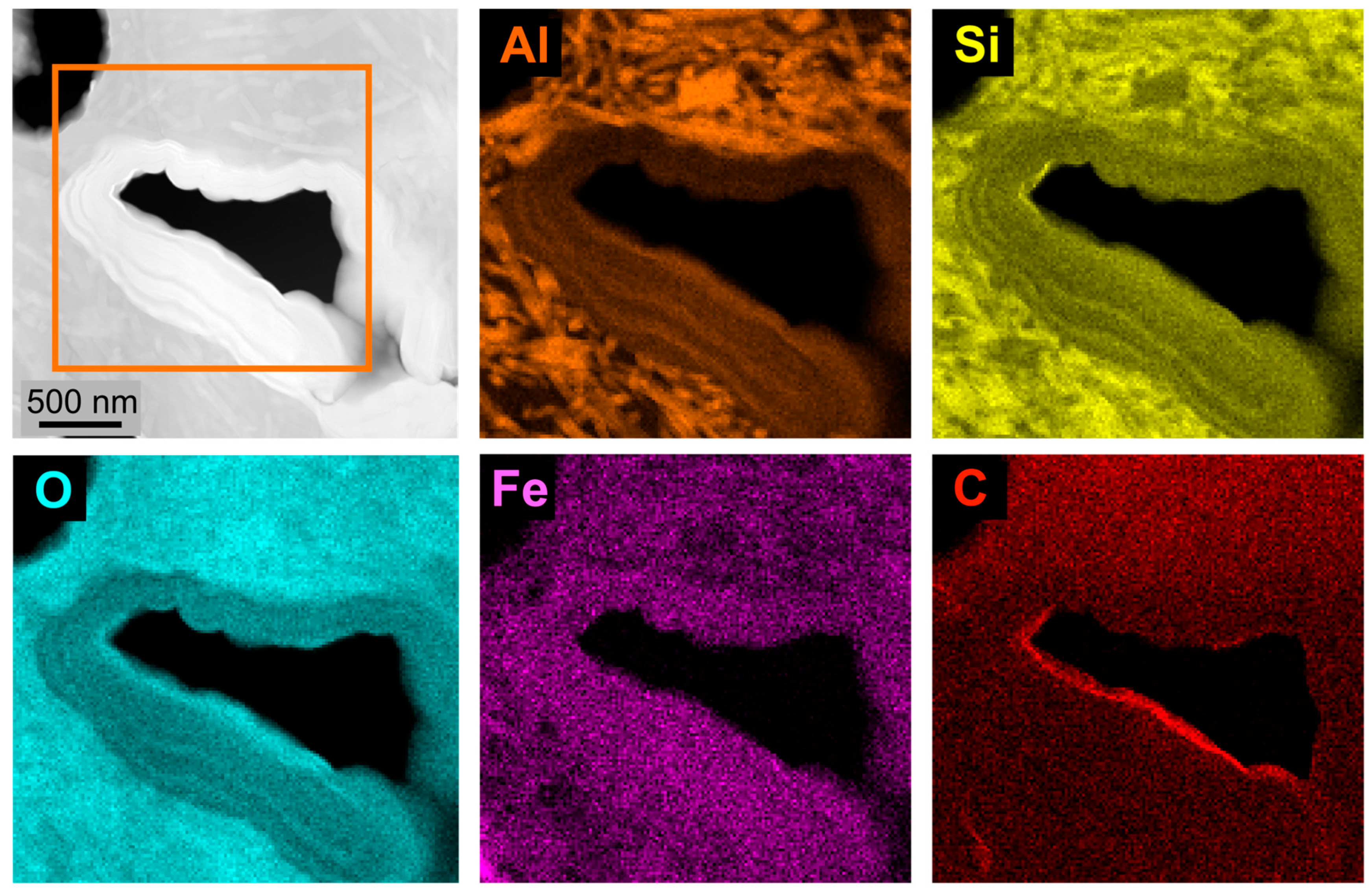 Coatings 14 00183 g008