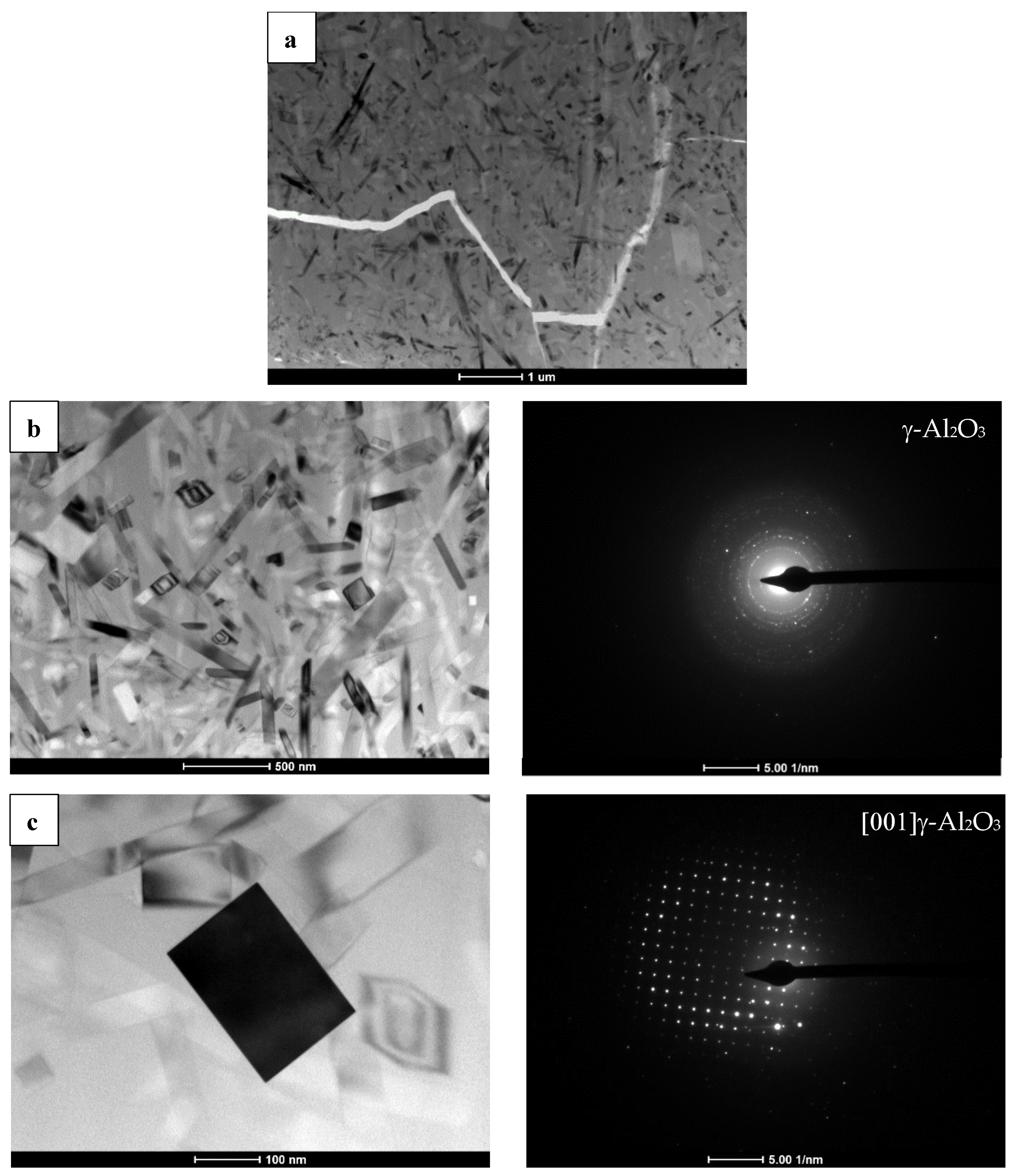 Coatings 14 00183 g009