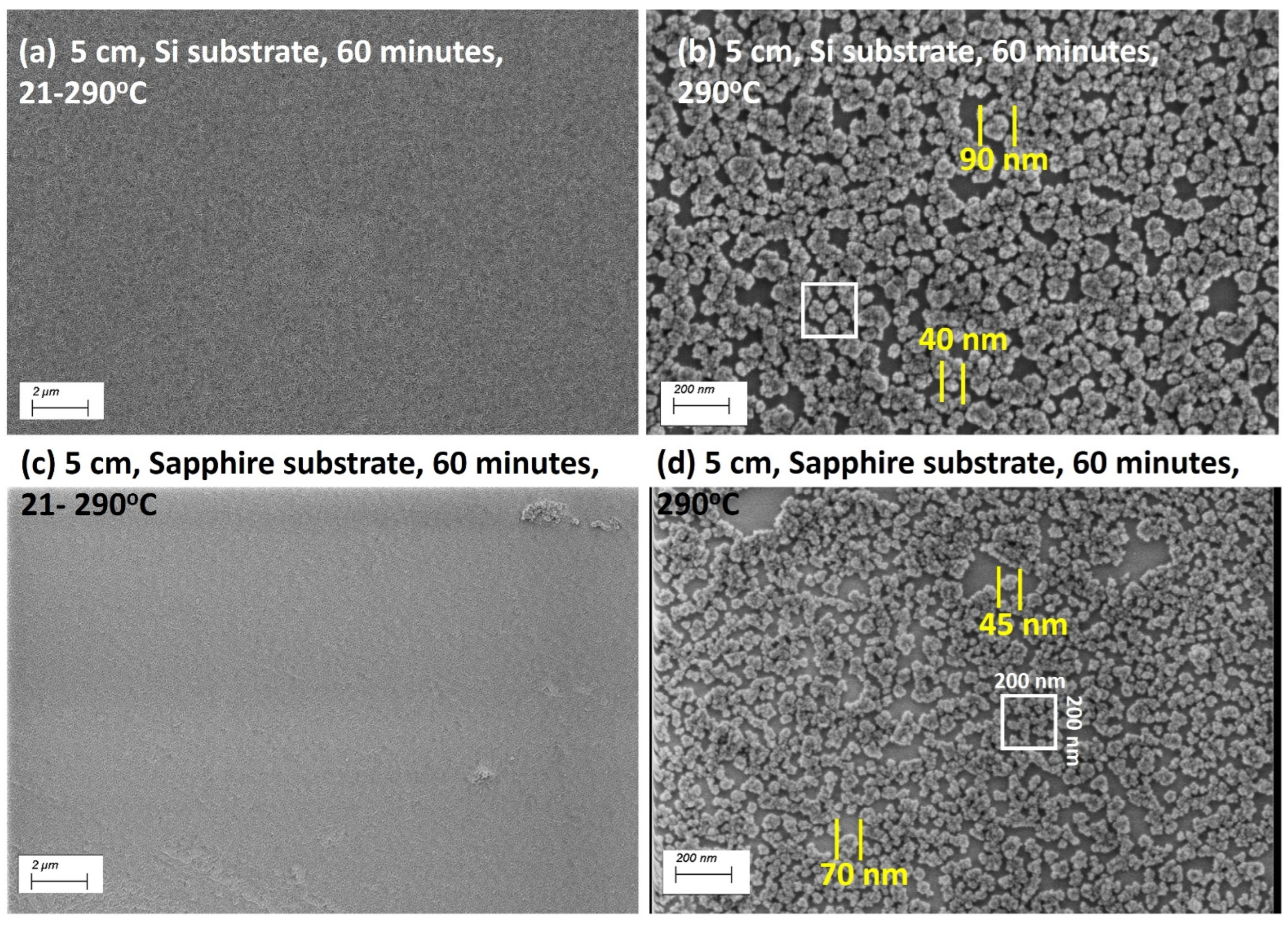 Coatings 14 00184 g007