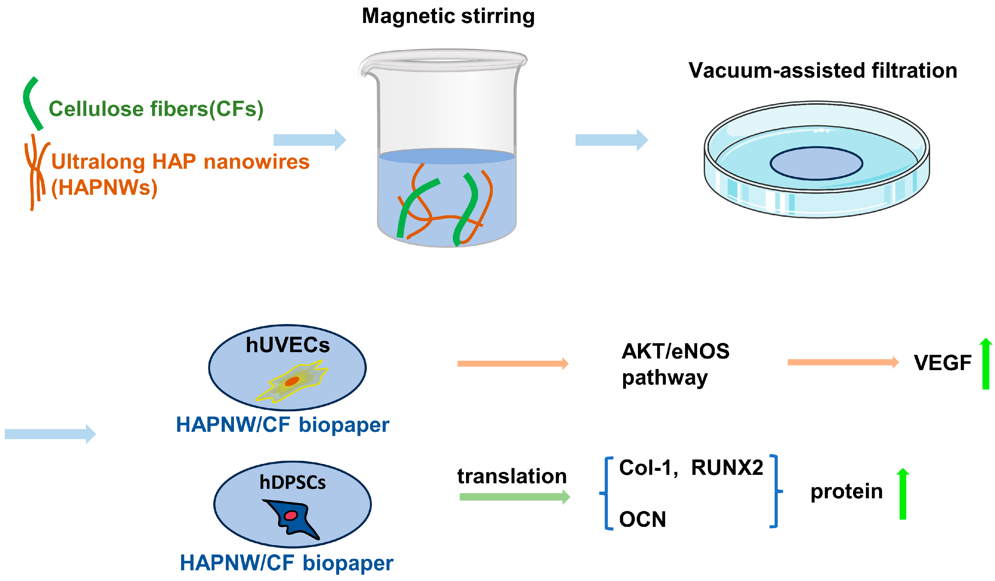 Coatings 14 00190 g001