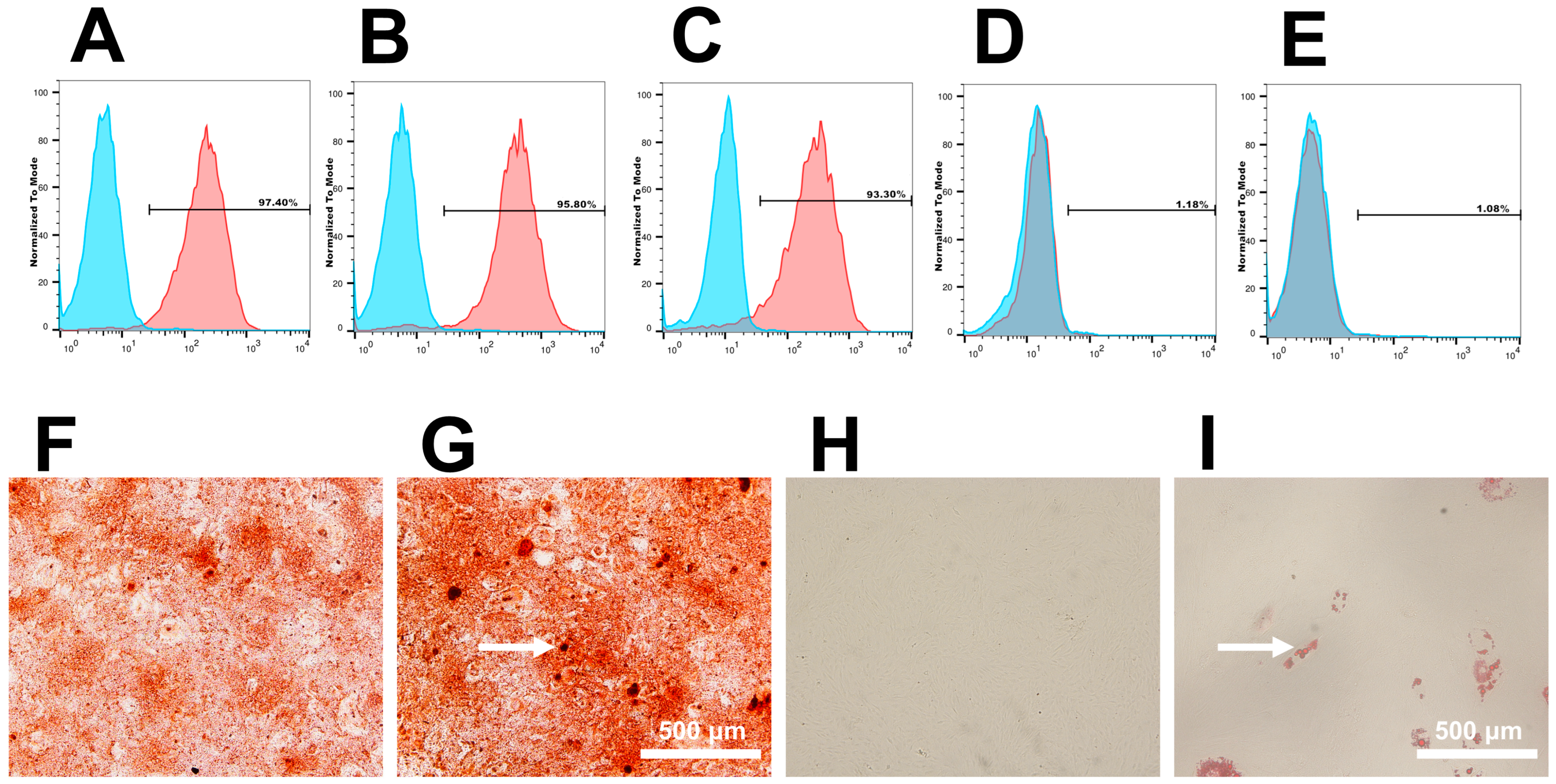 Coatings 14 00190 g002