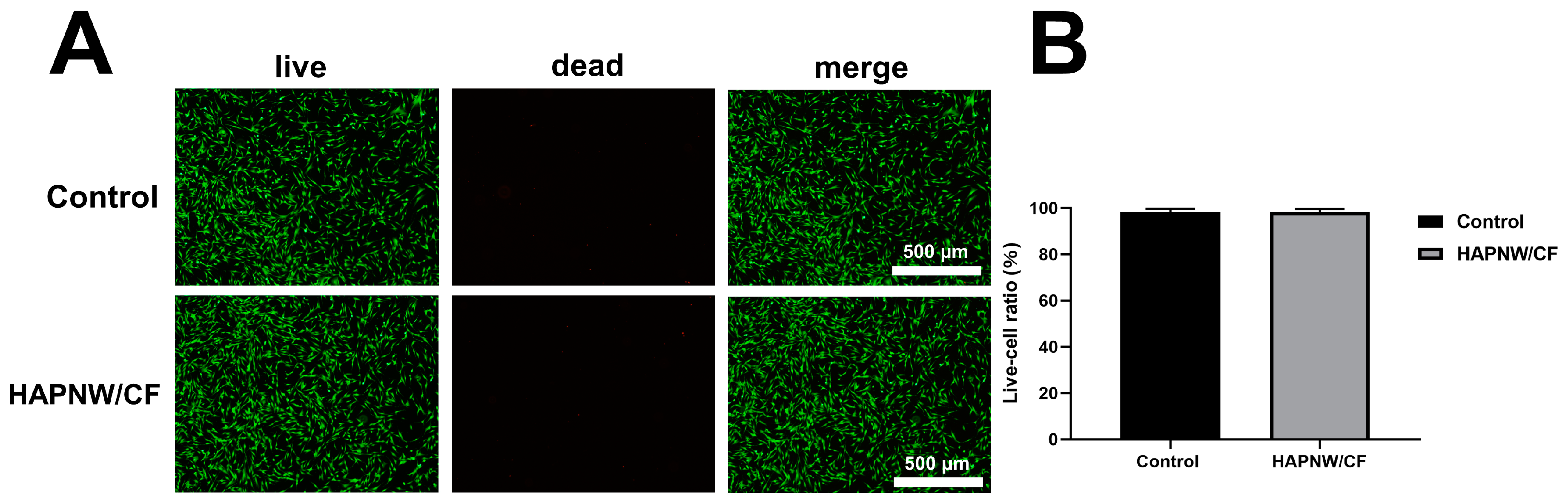 Coatings 14 00190 g003