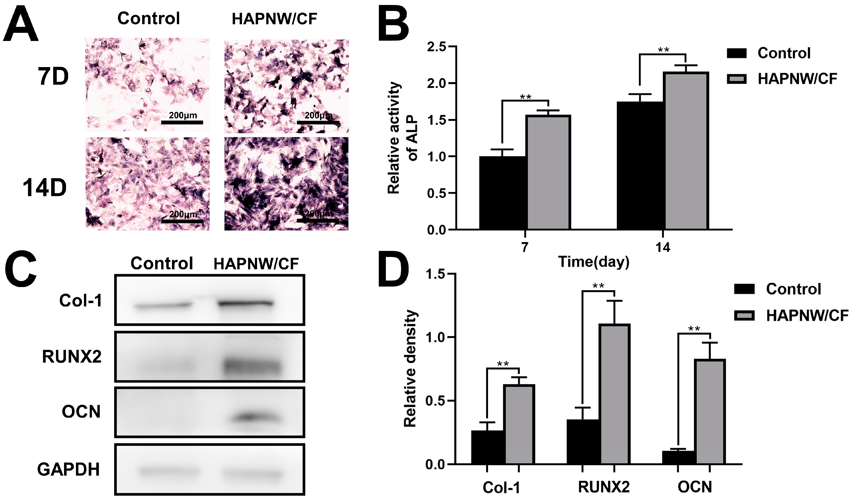 Coatings 14 00190 g005