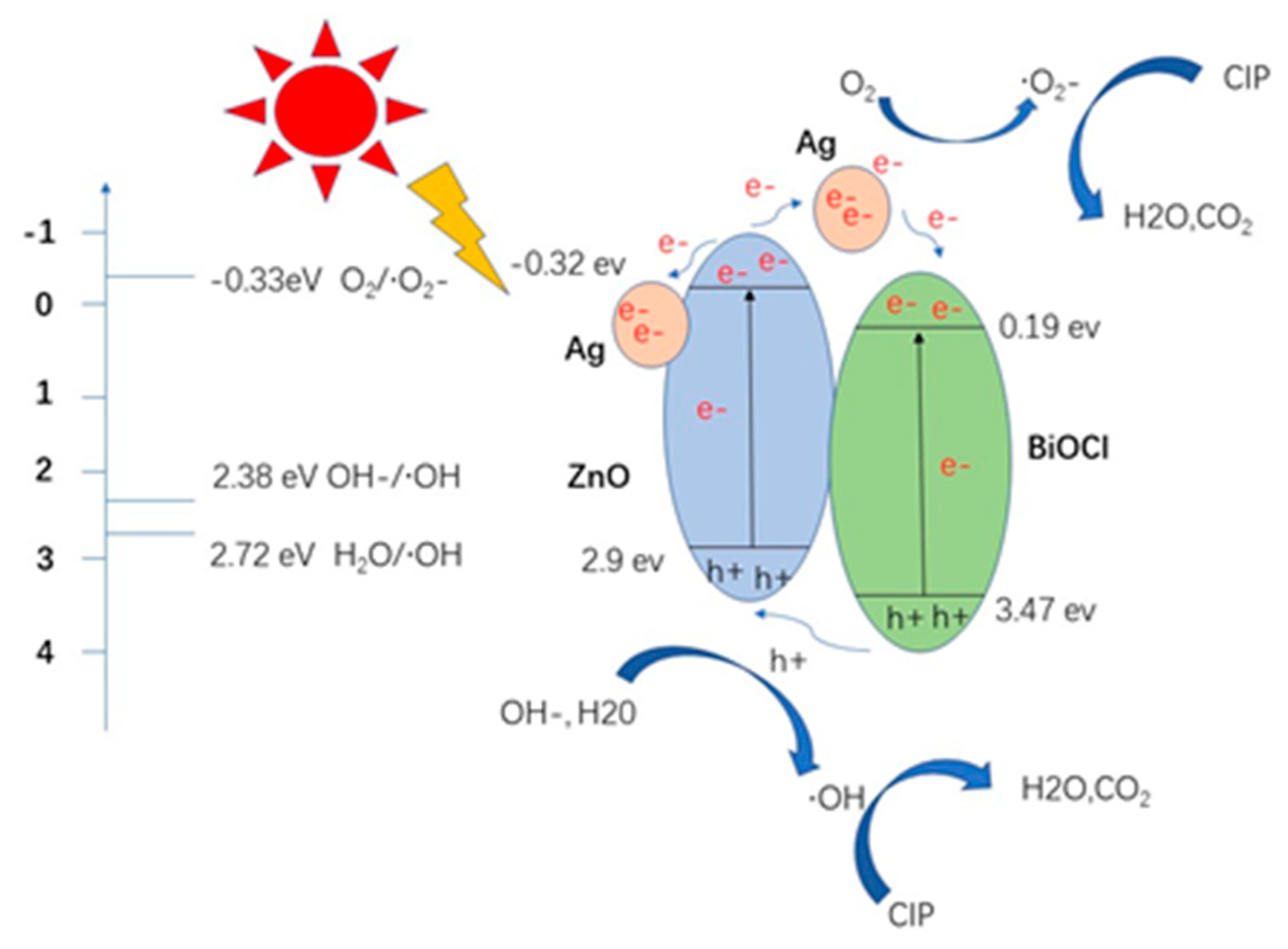 Coatings 14 00192 g013