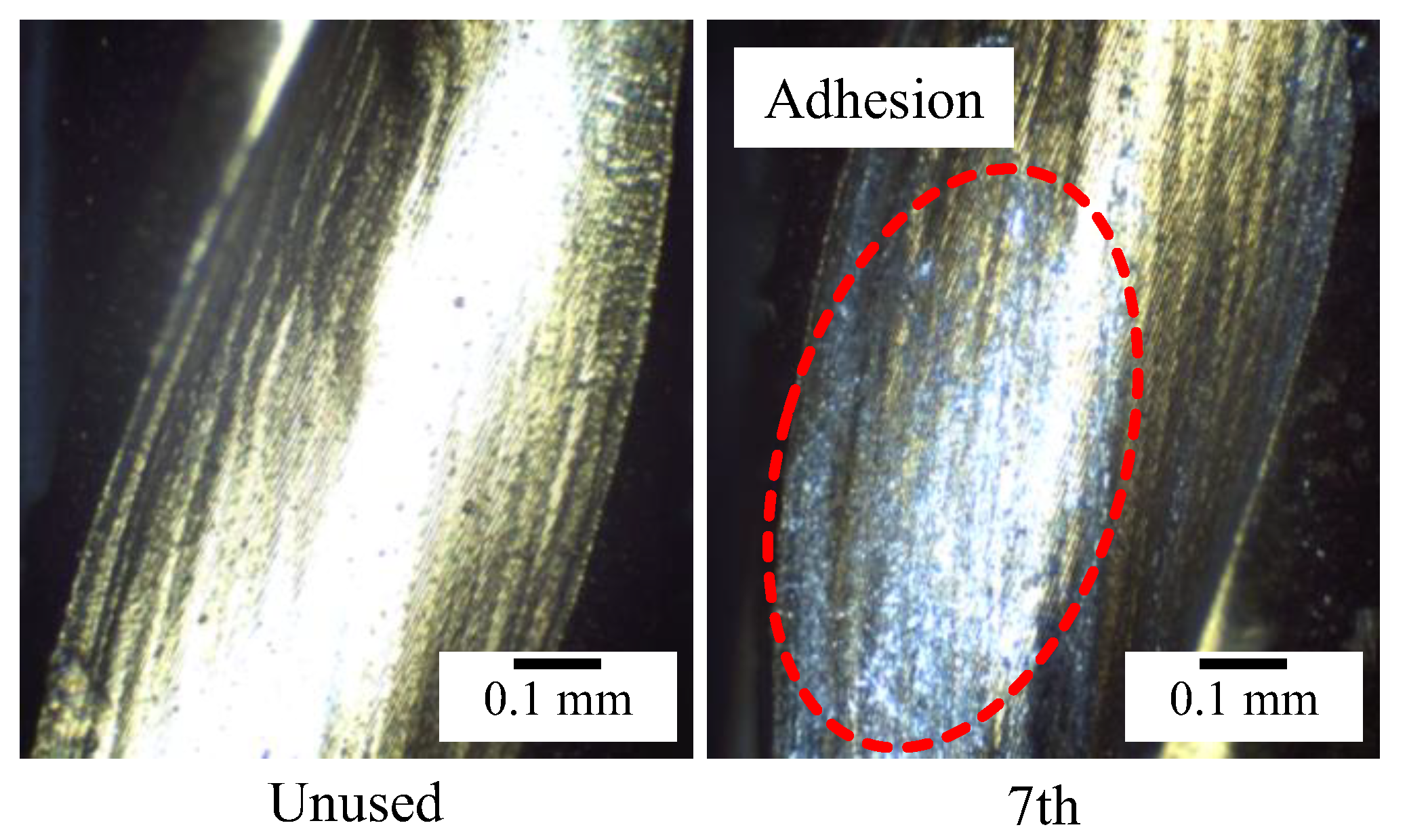 Coatings 14 00193 g006